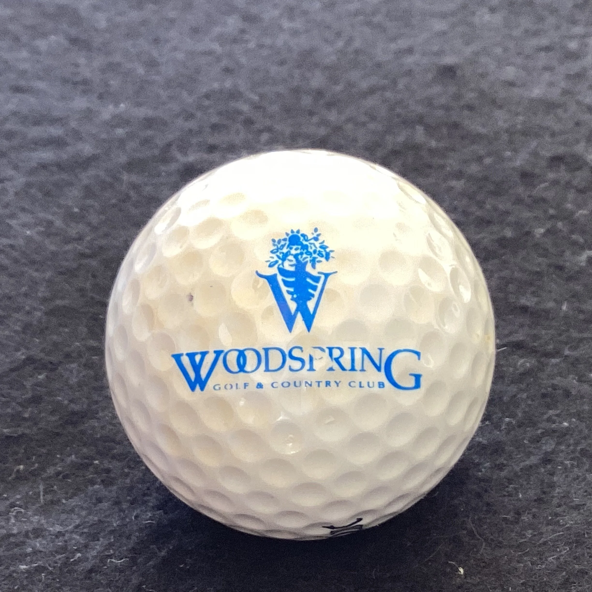 Woodspring Golf and Country Club 
