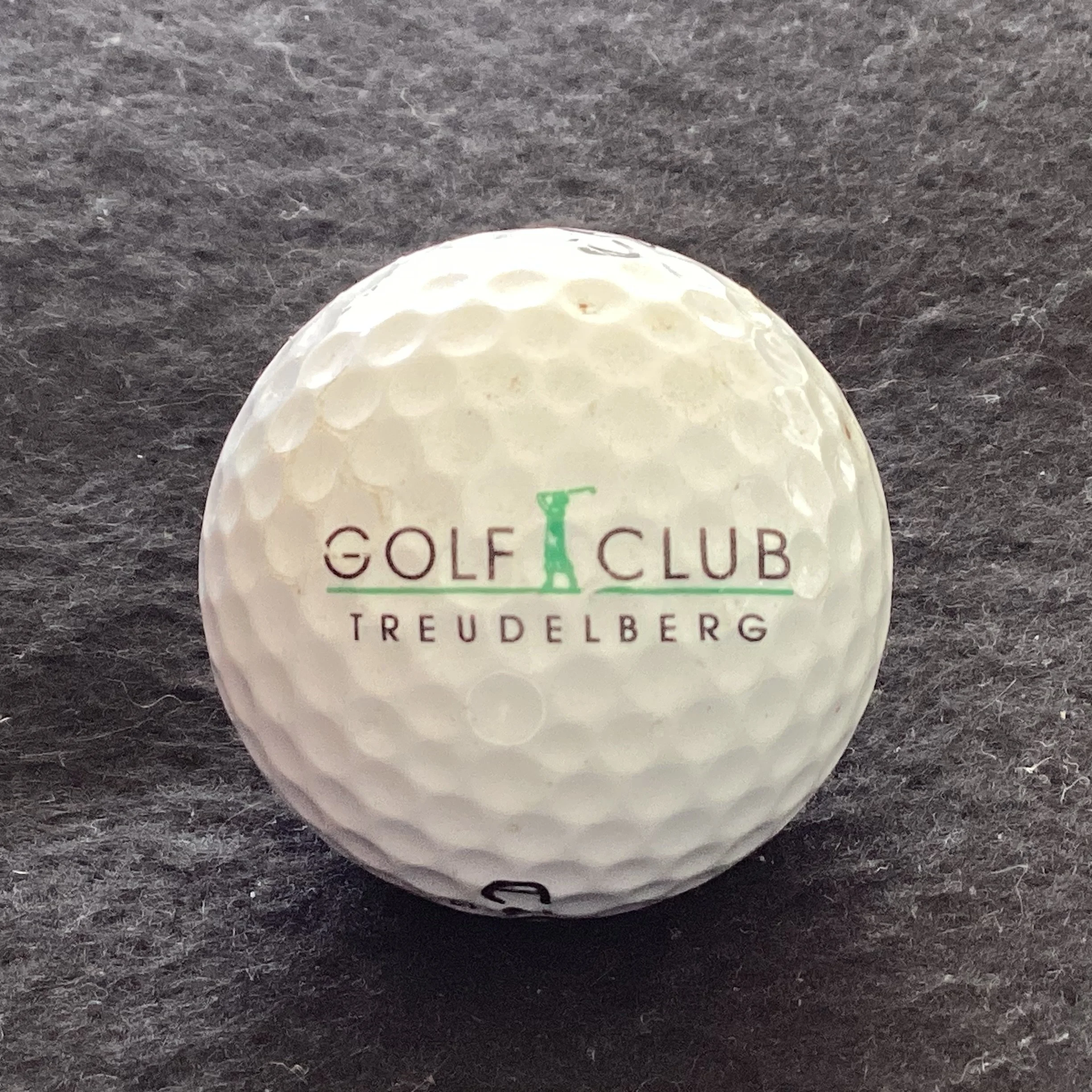 Treudelberg Golf Club 