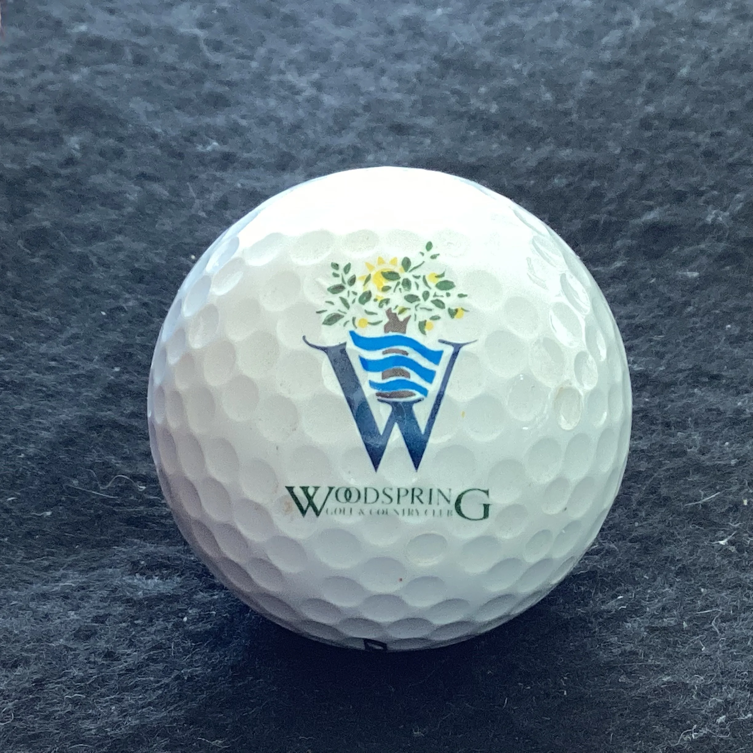 Woodspring Golf and Country Club 