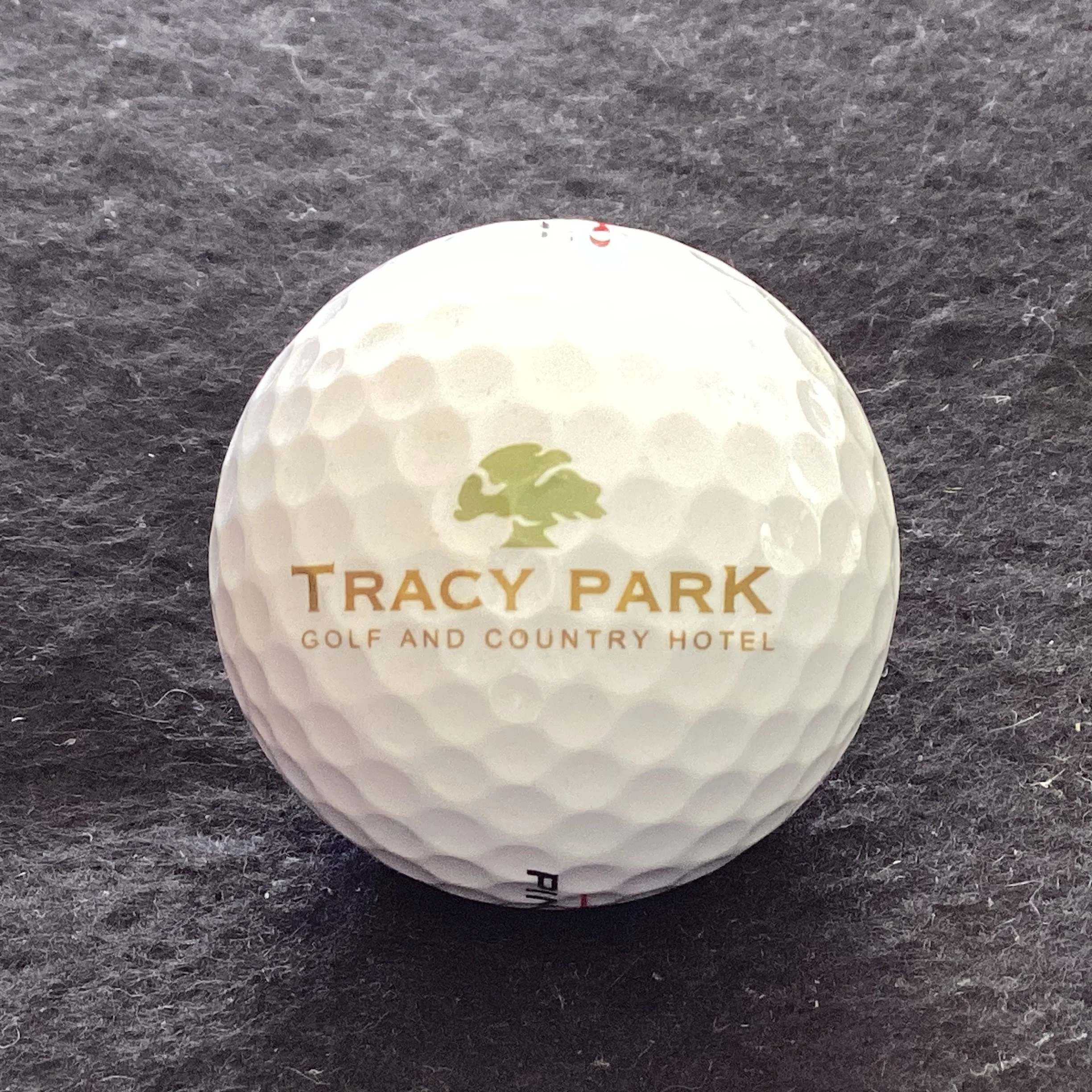Tracy Park Golf and Country Hotel 