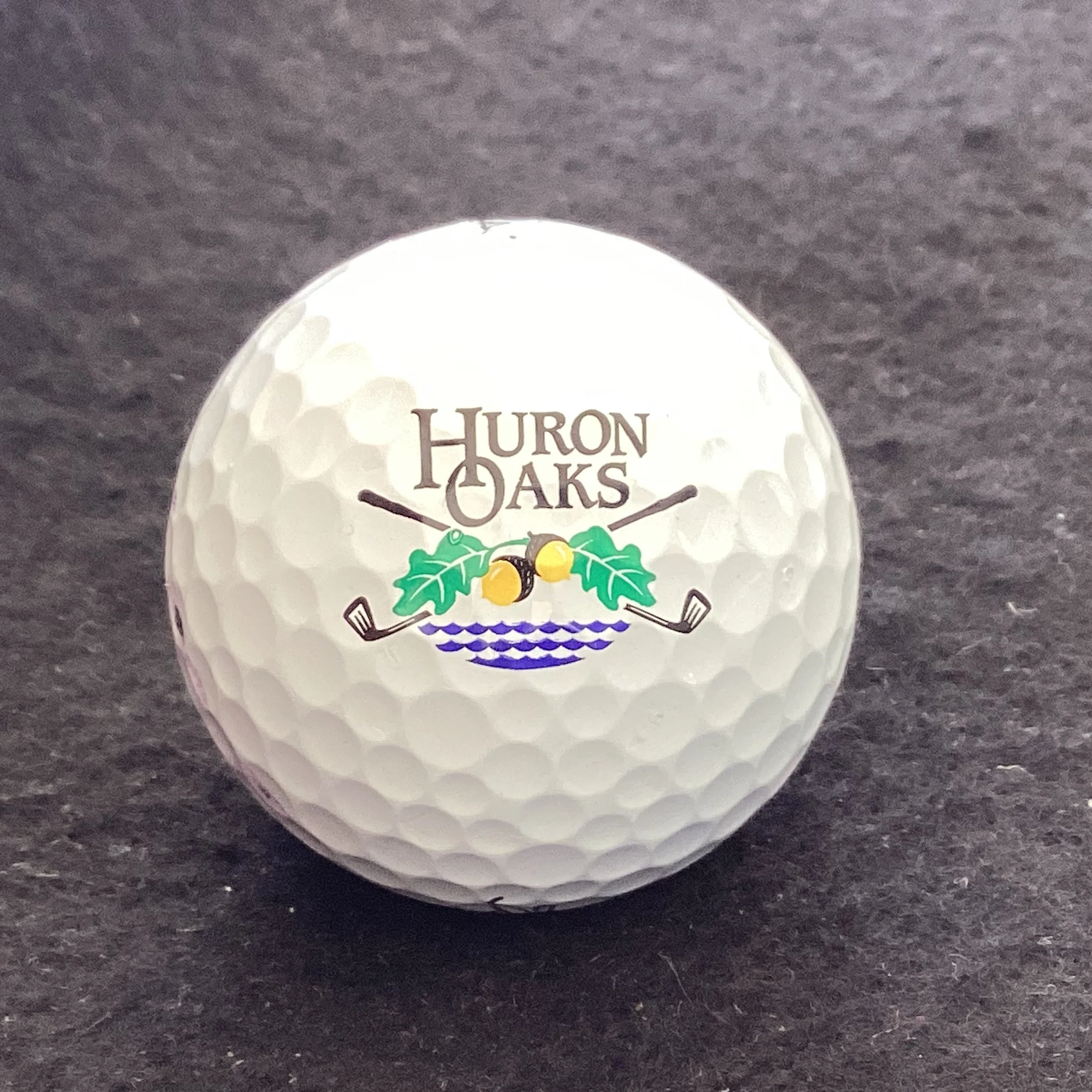 Huron Oaks Golf Club 