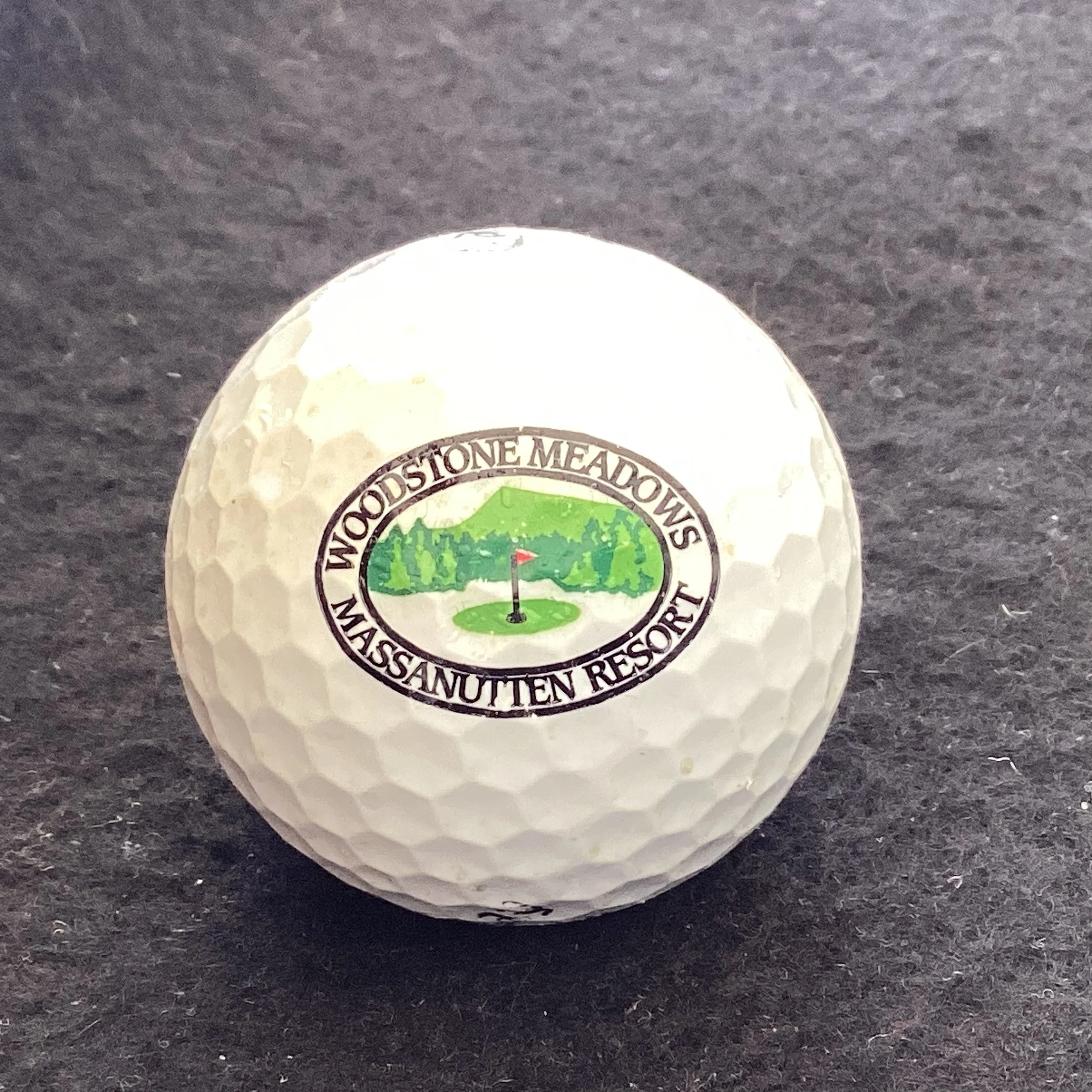 Woodstone Meadows Massanutten Resort 