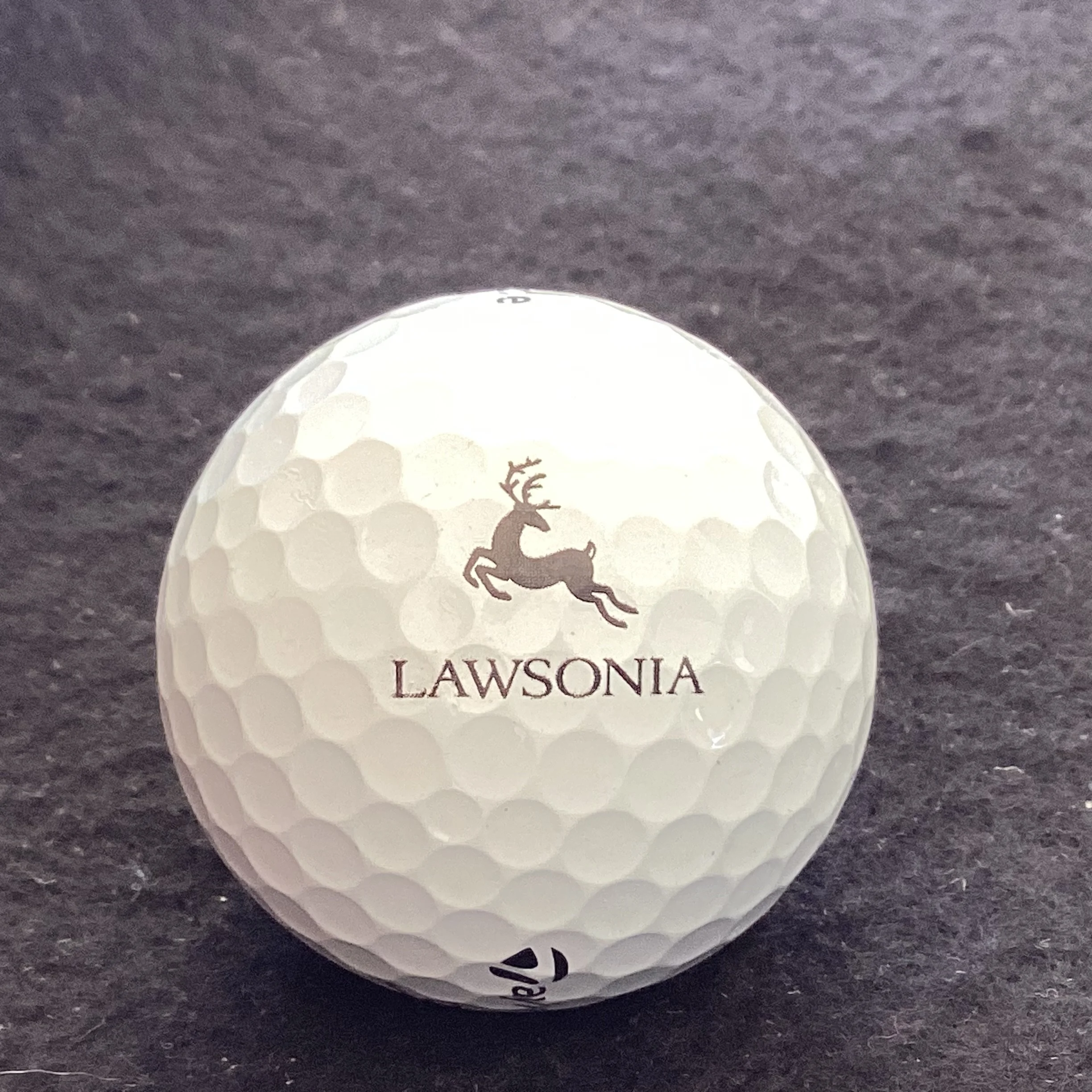 Lawsonia - The Golf Courses of Lawsonia