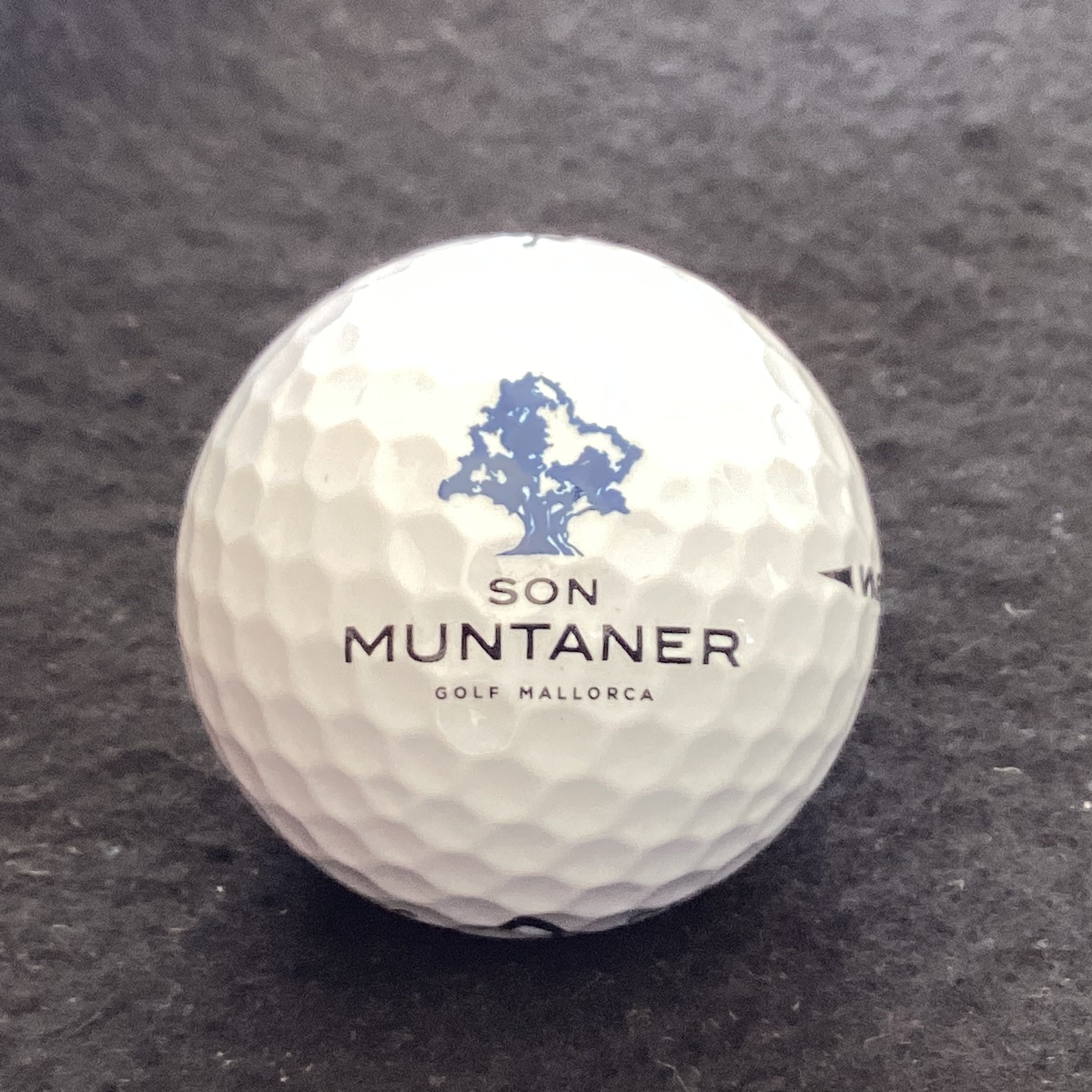 Son Muntaner Golf