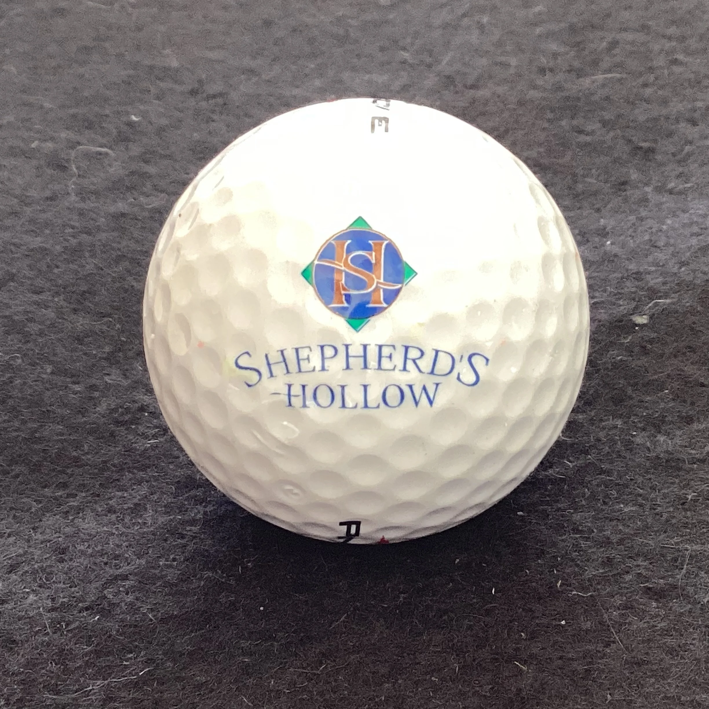 Shepherd’s Hollow Golf Club 
