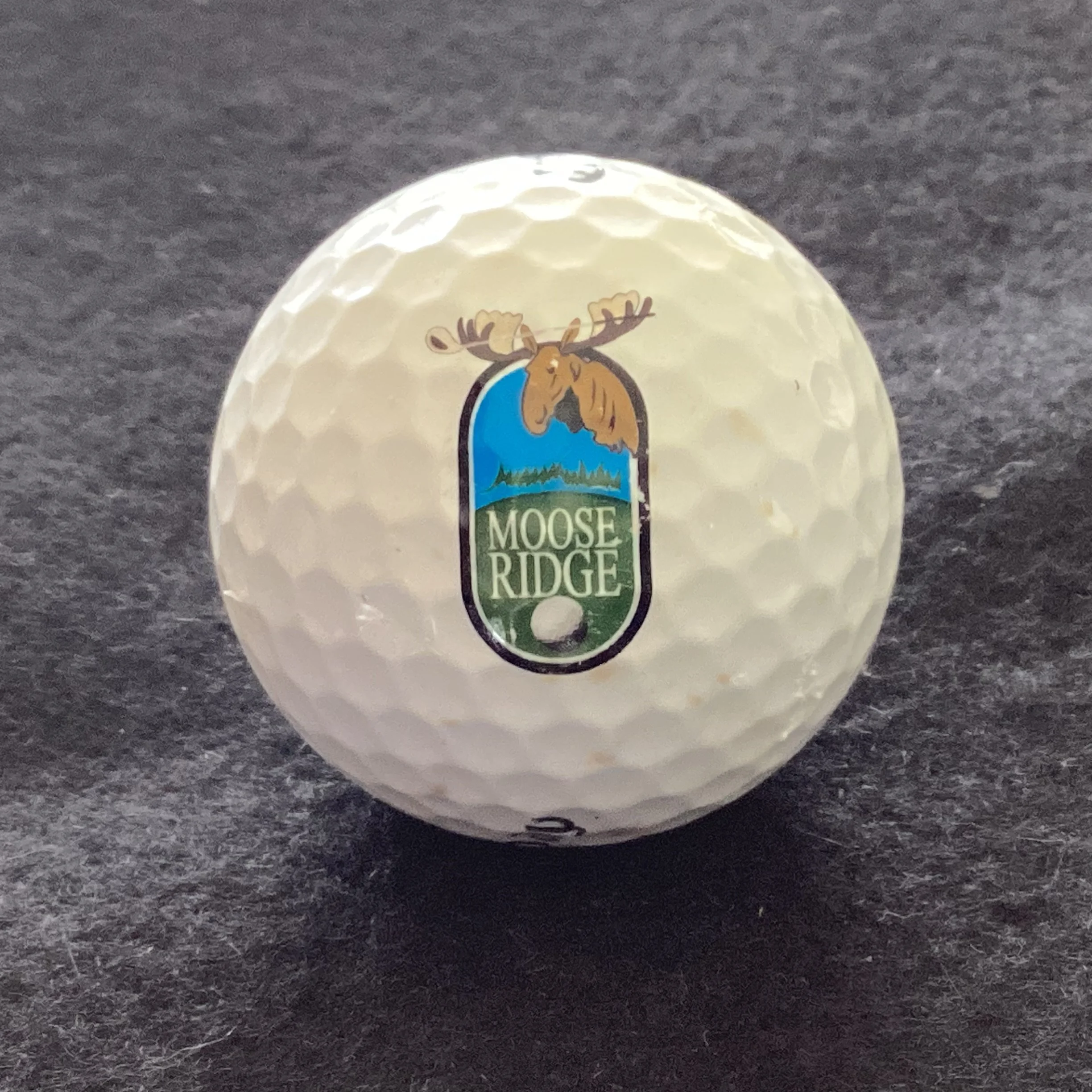 Moose Ridge Golf Course 