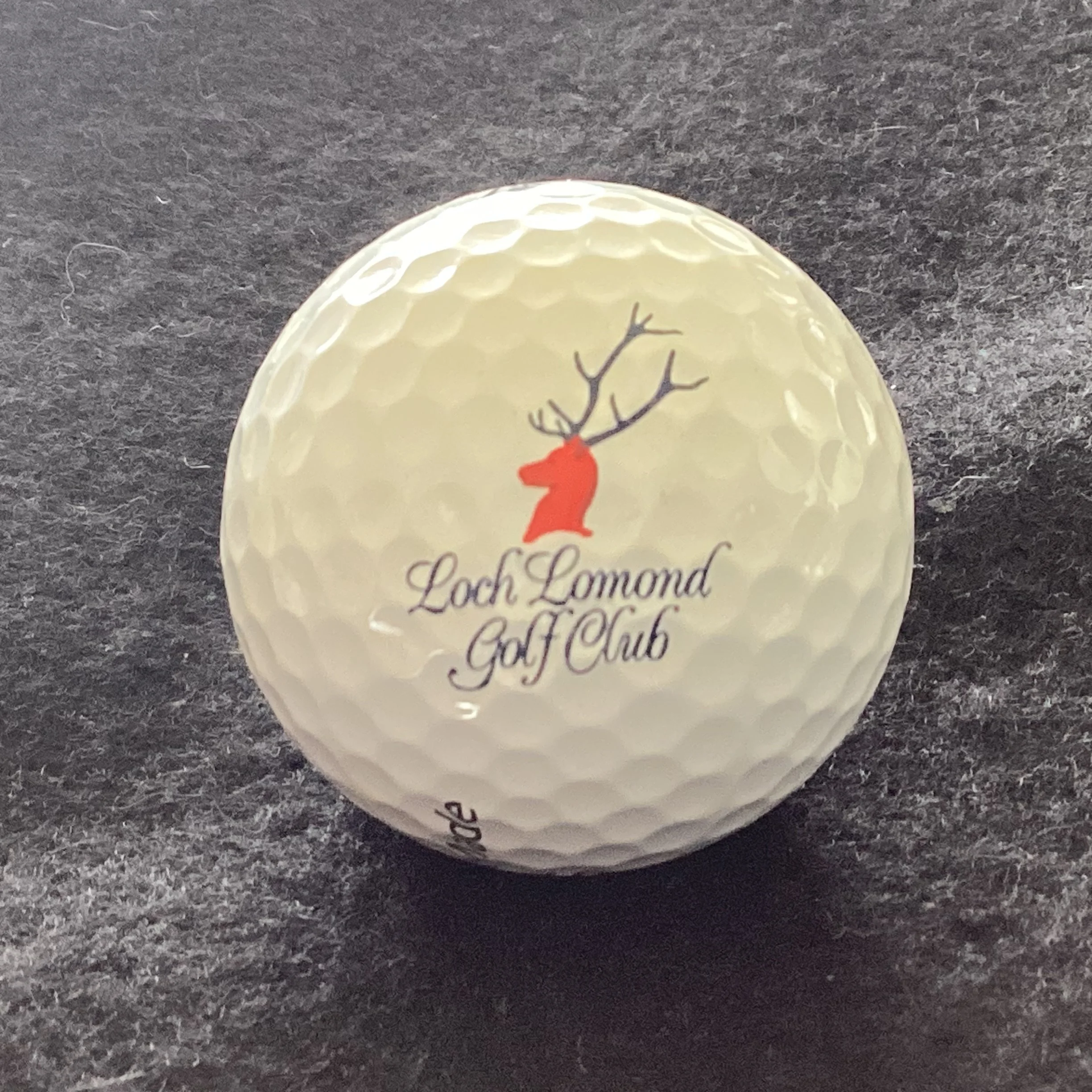 Loch Lomond Golf Club 