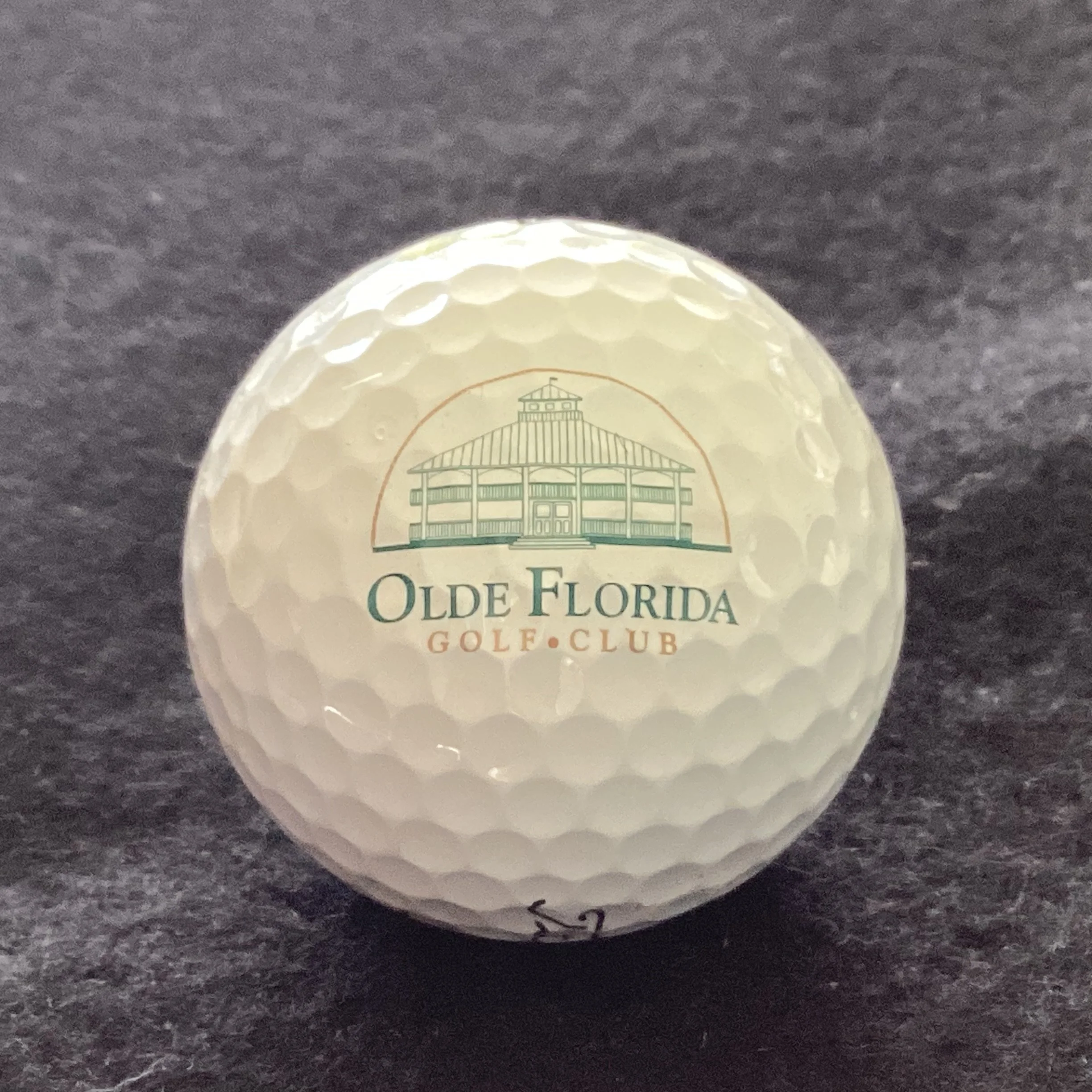 Olde Florida Golf Club 