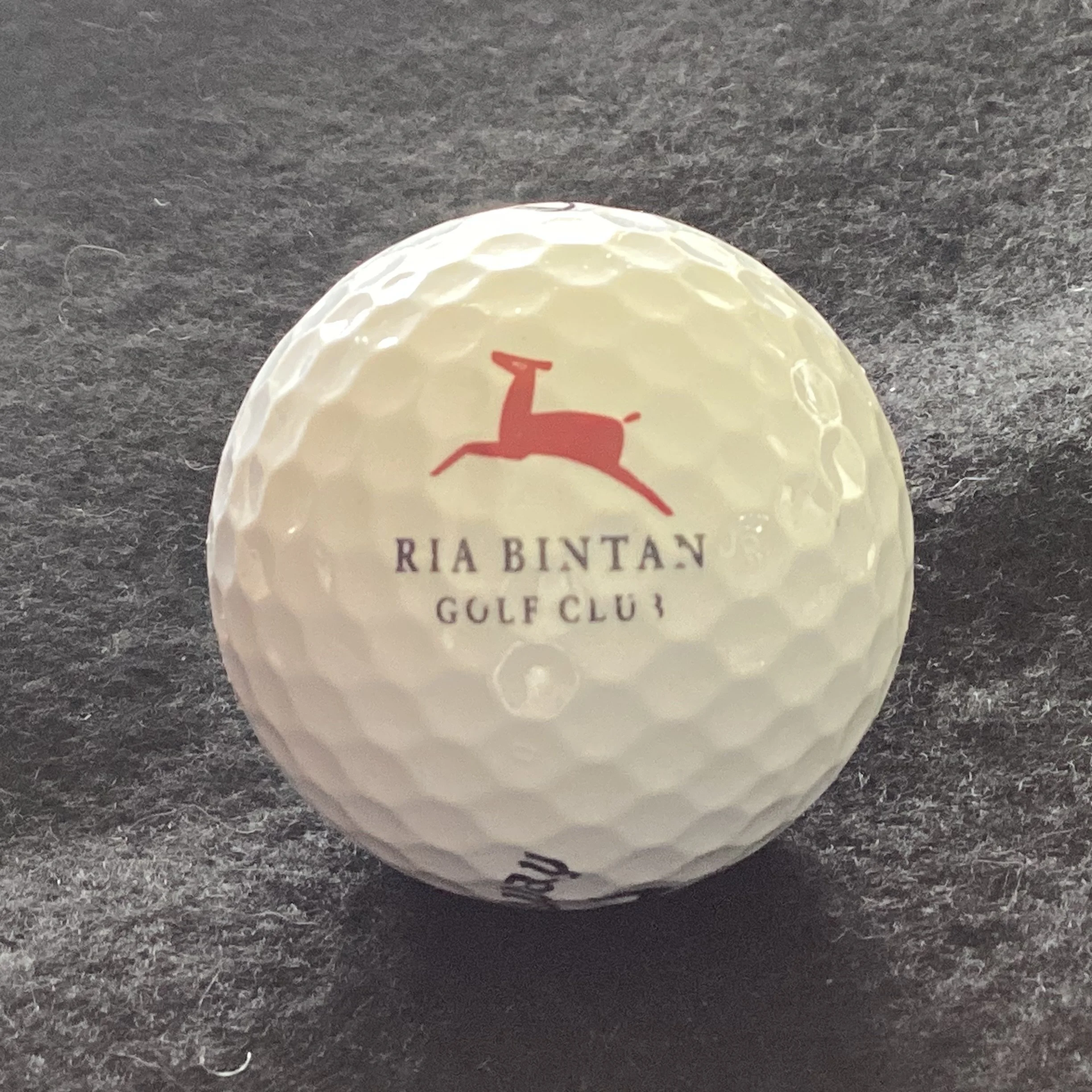 Ria Bintan Golf Club 