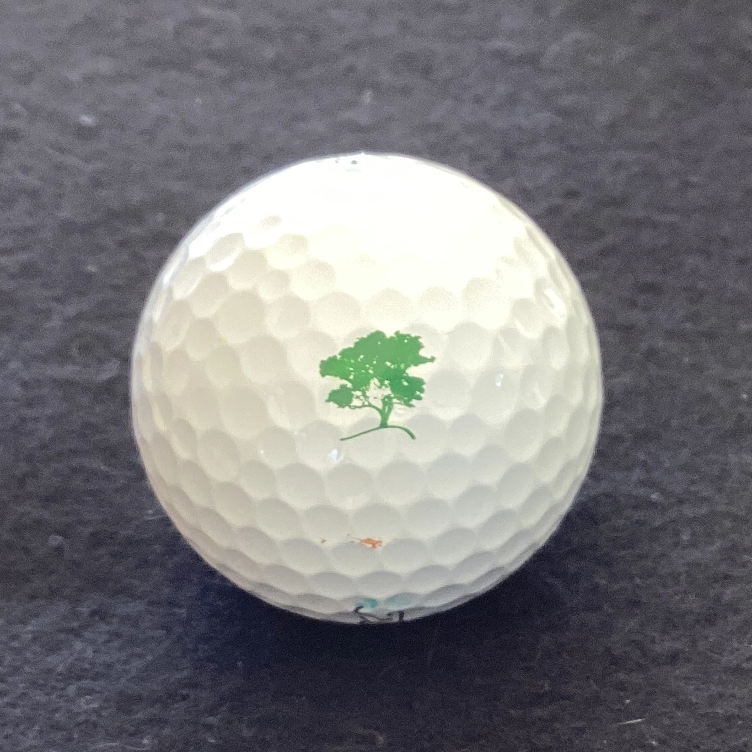 Cathedral Lodge Golf Club