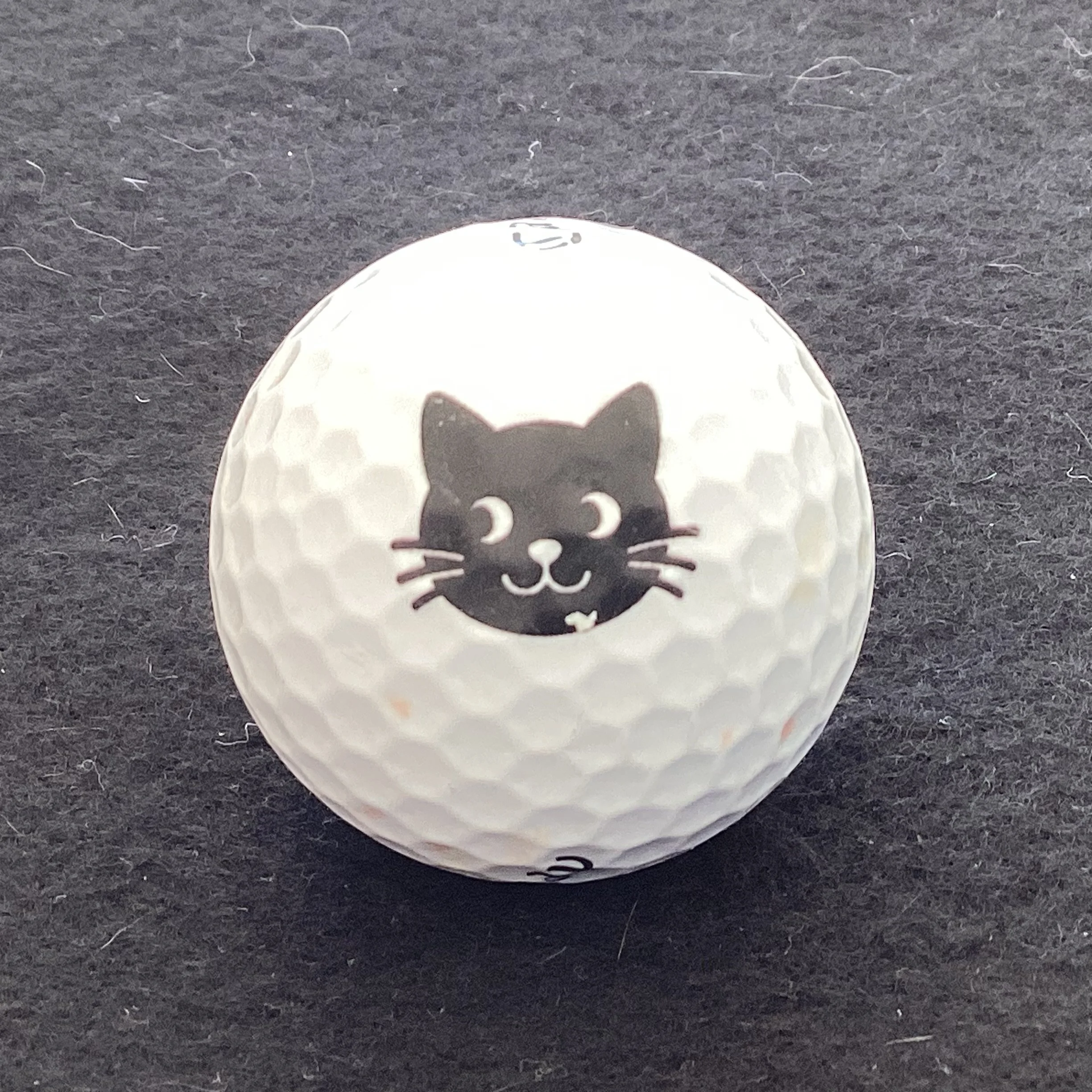 Cat - Happy Black Cat