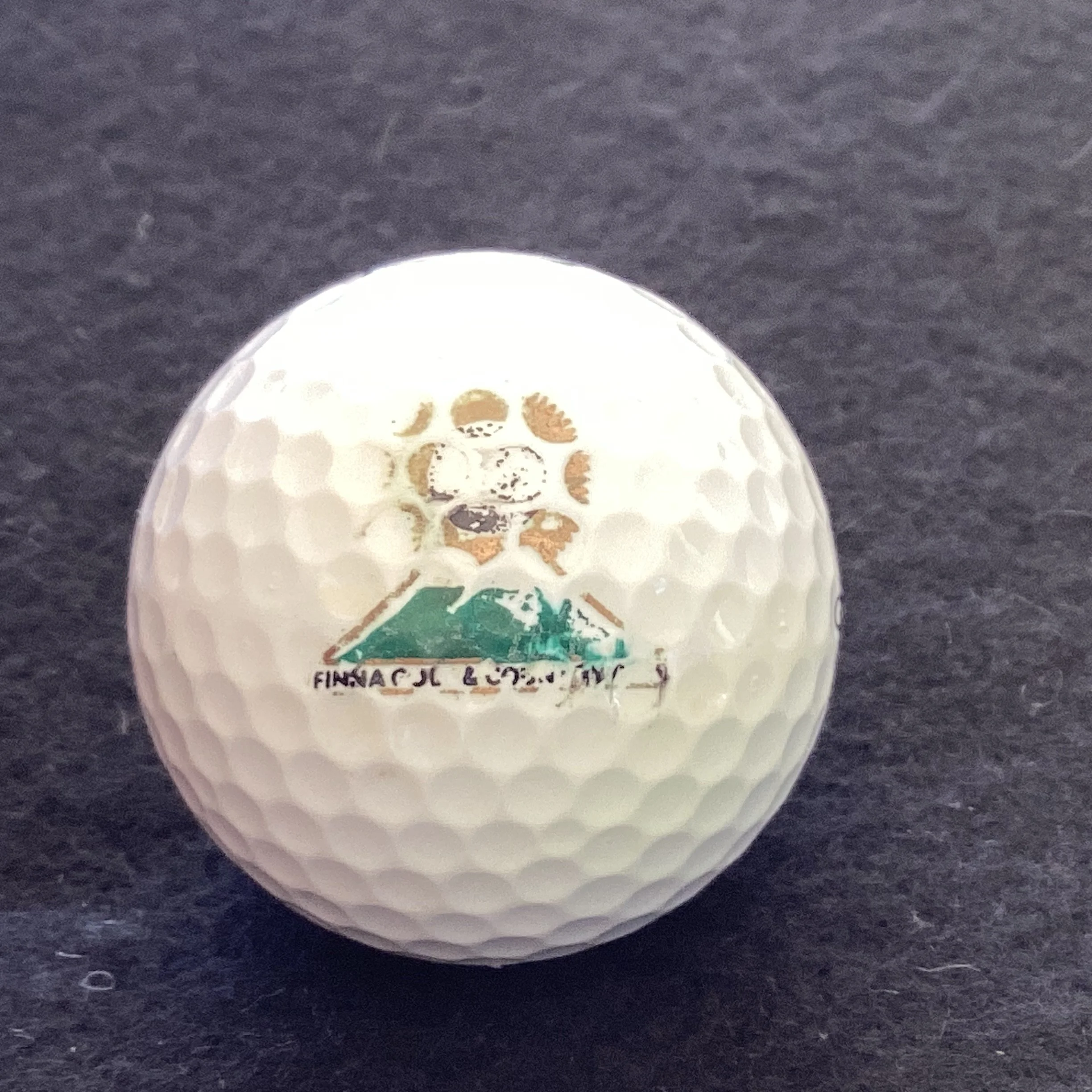 Finna Golf and Country Club 