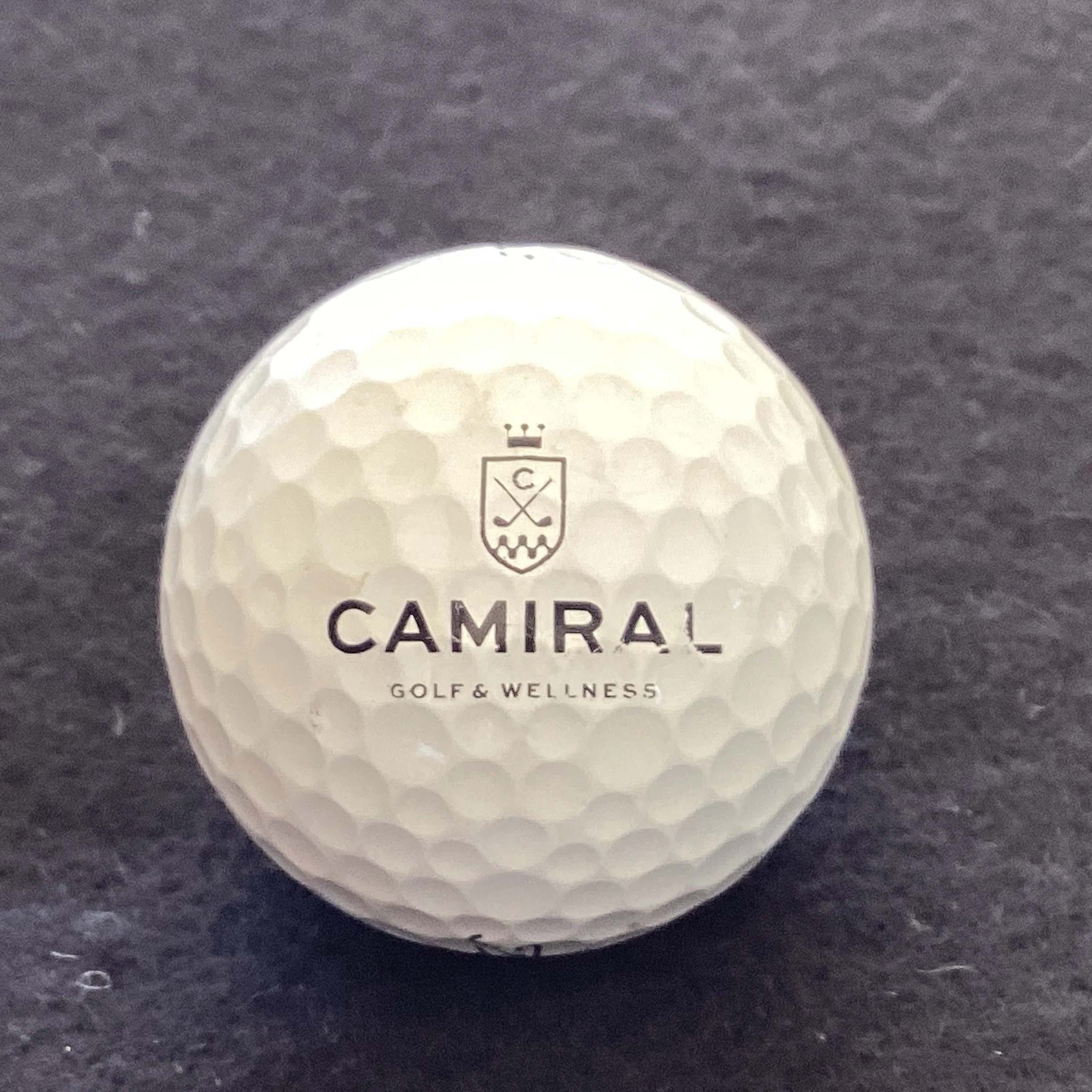 Camiral Golf and Wellness Club