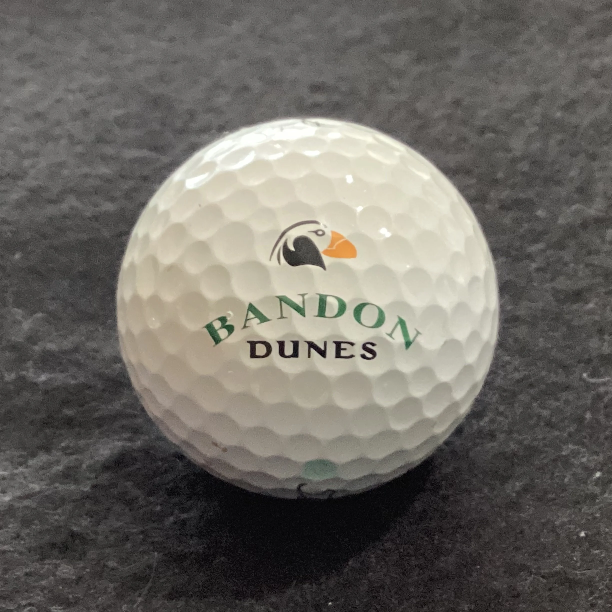 Bandon Dunes Golf Resort 