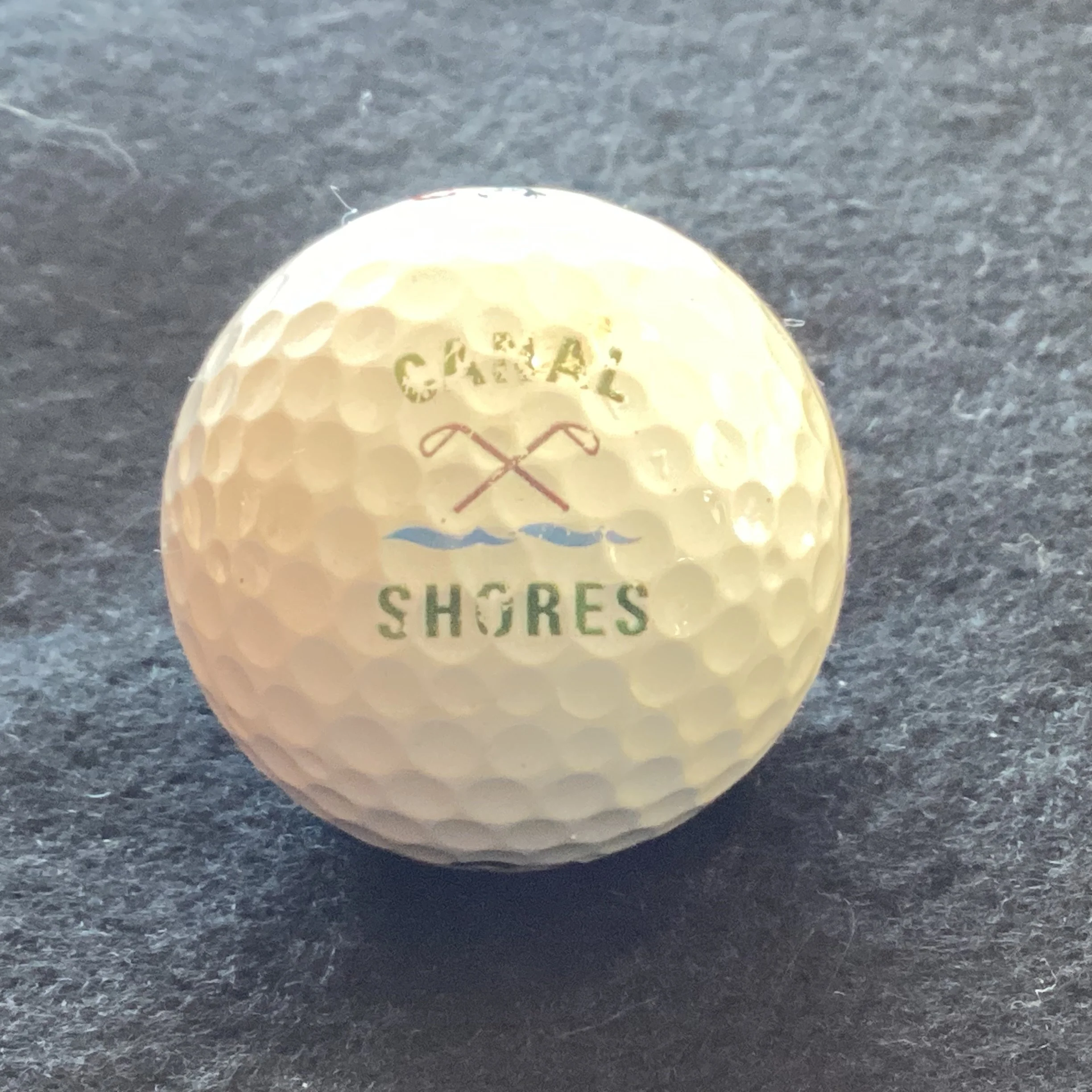 Canal Shores Golf Club 