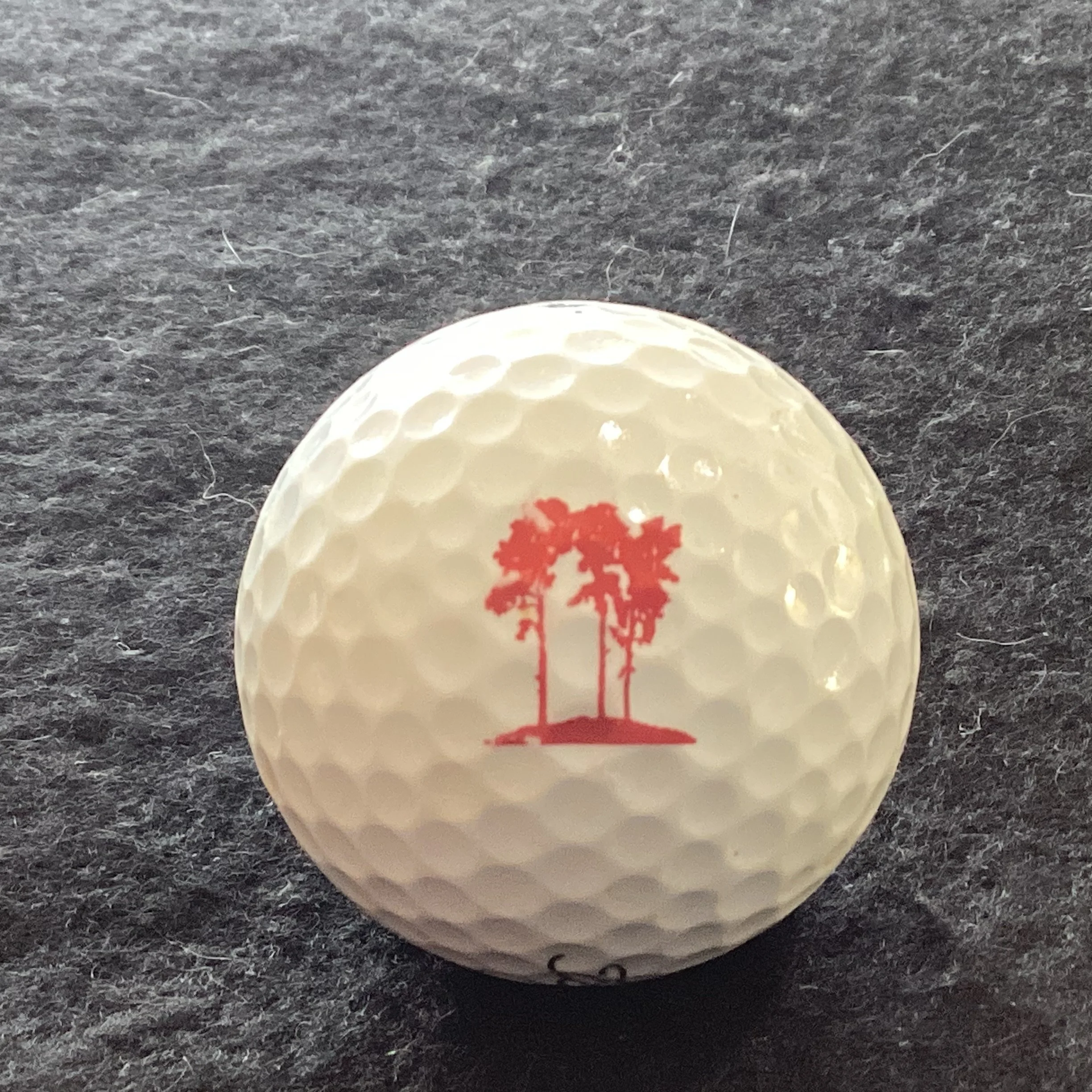 Swinley Forest Golf Club