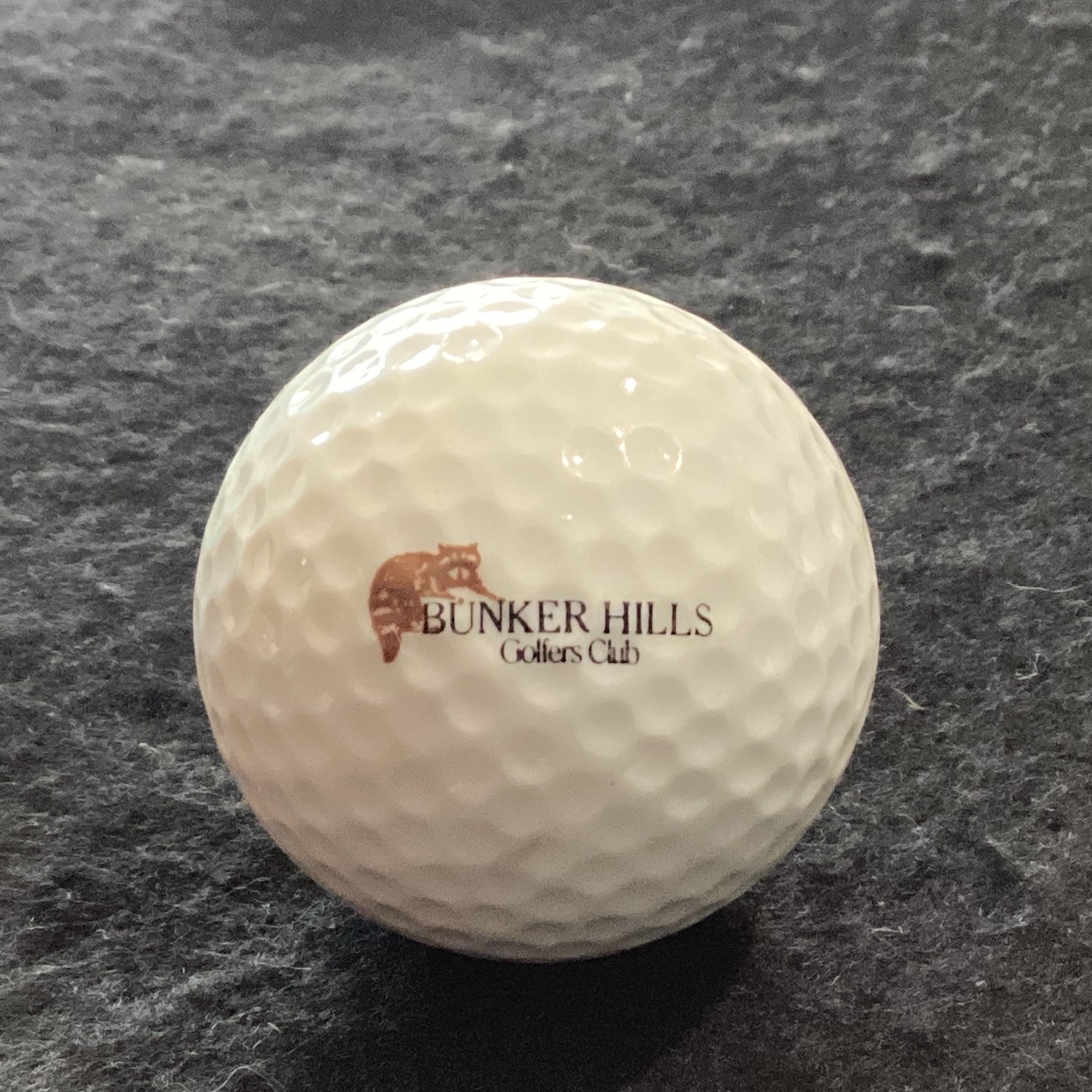 Bunker Hills Golfers Club 