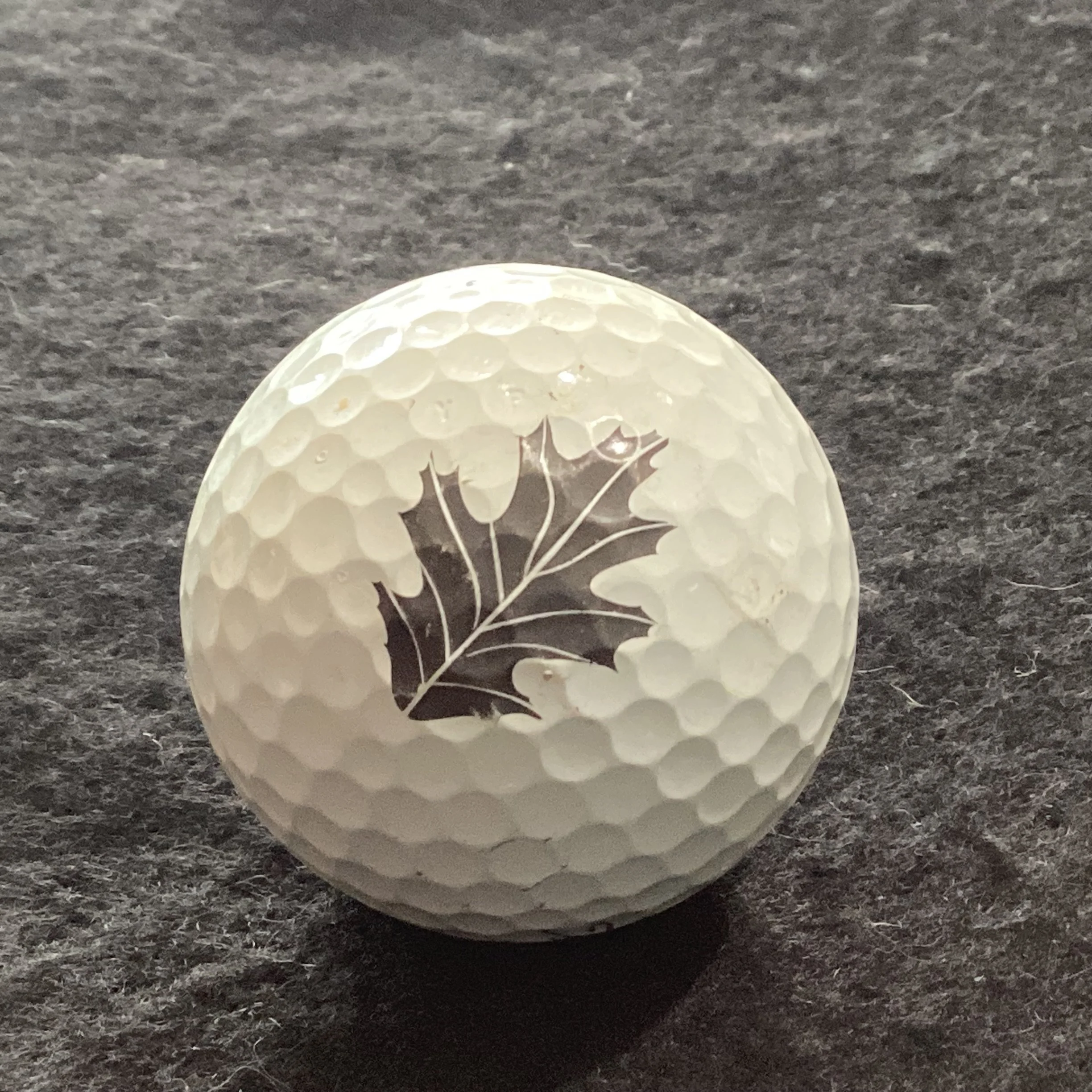 Grey Oaks Country Club 