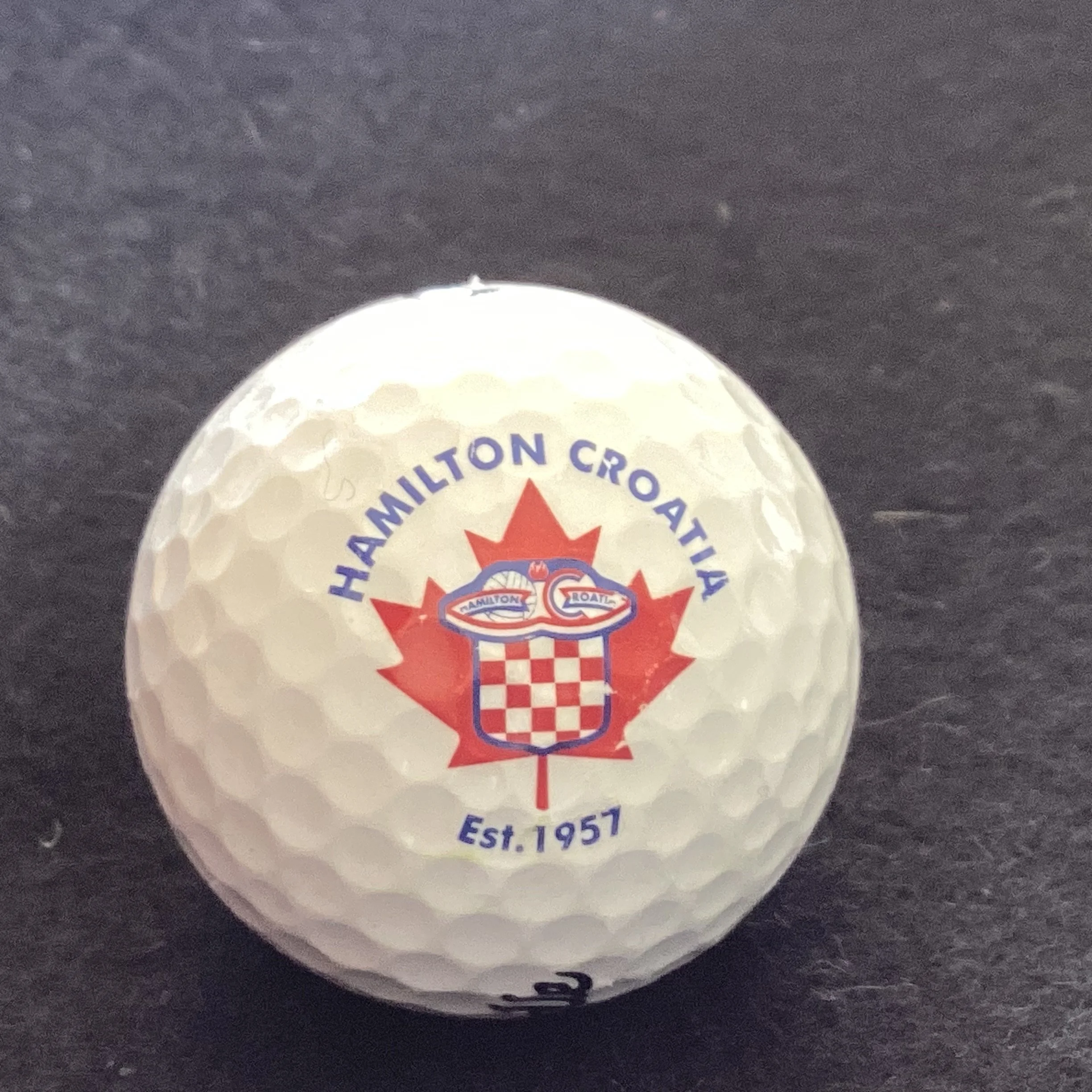 Hamilton Croatia Soccer Club