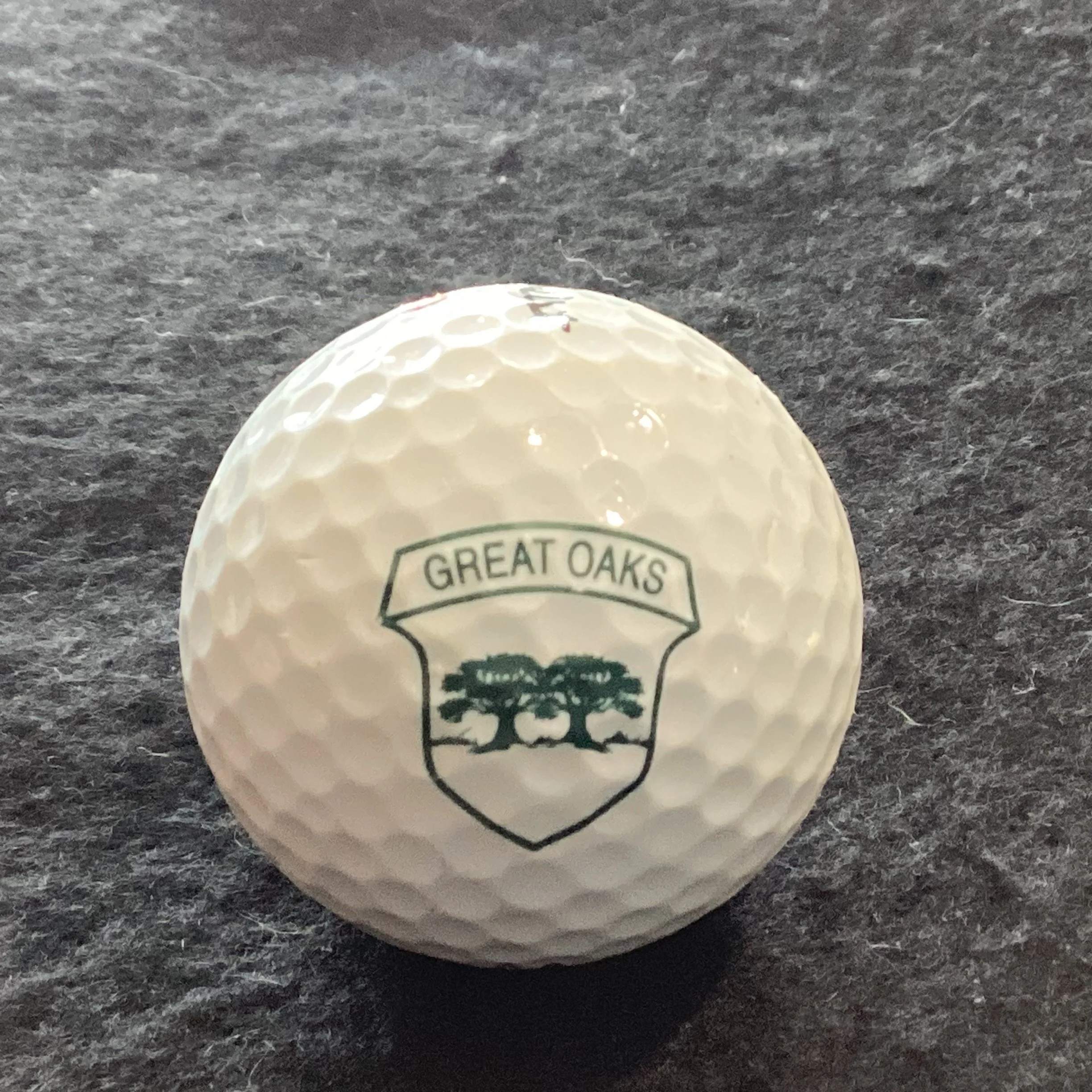 Great Oaks Country Club 
