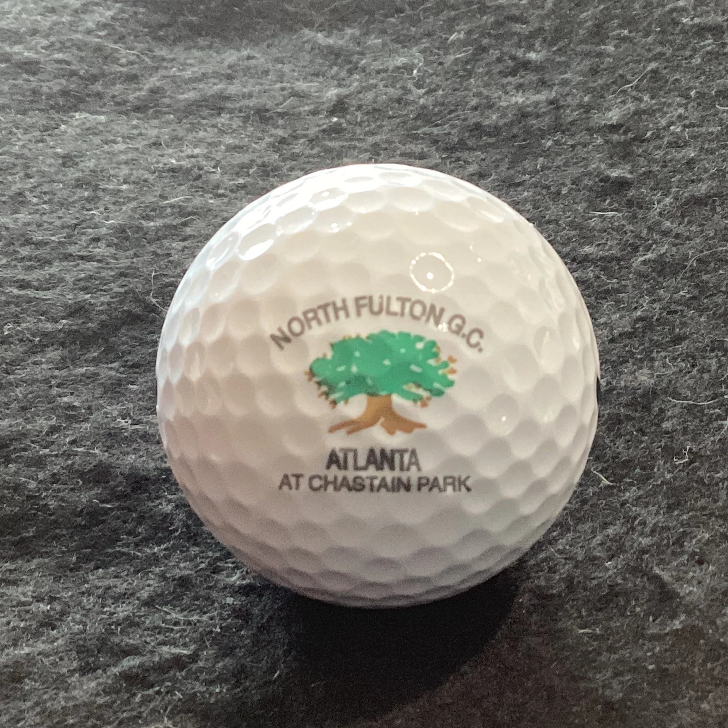 North Fulton Golf Club 
