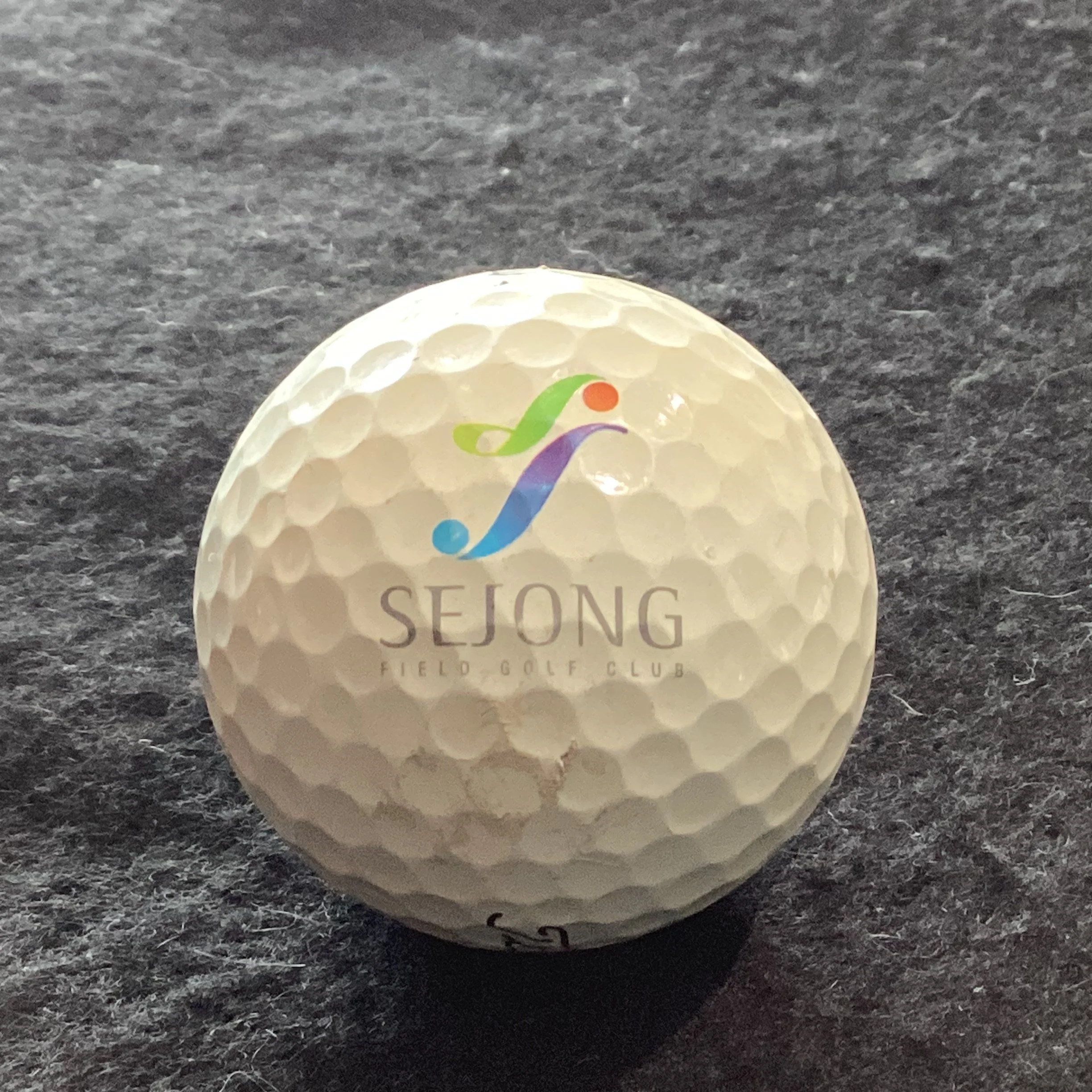 Sejong Field Golf Club 