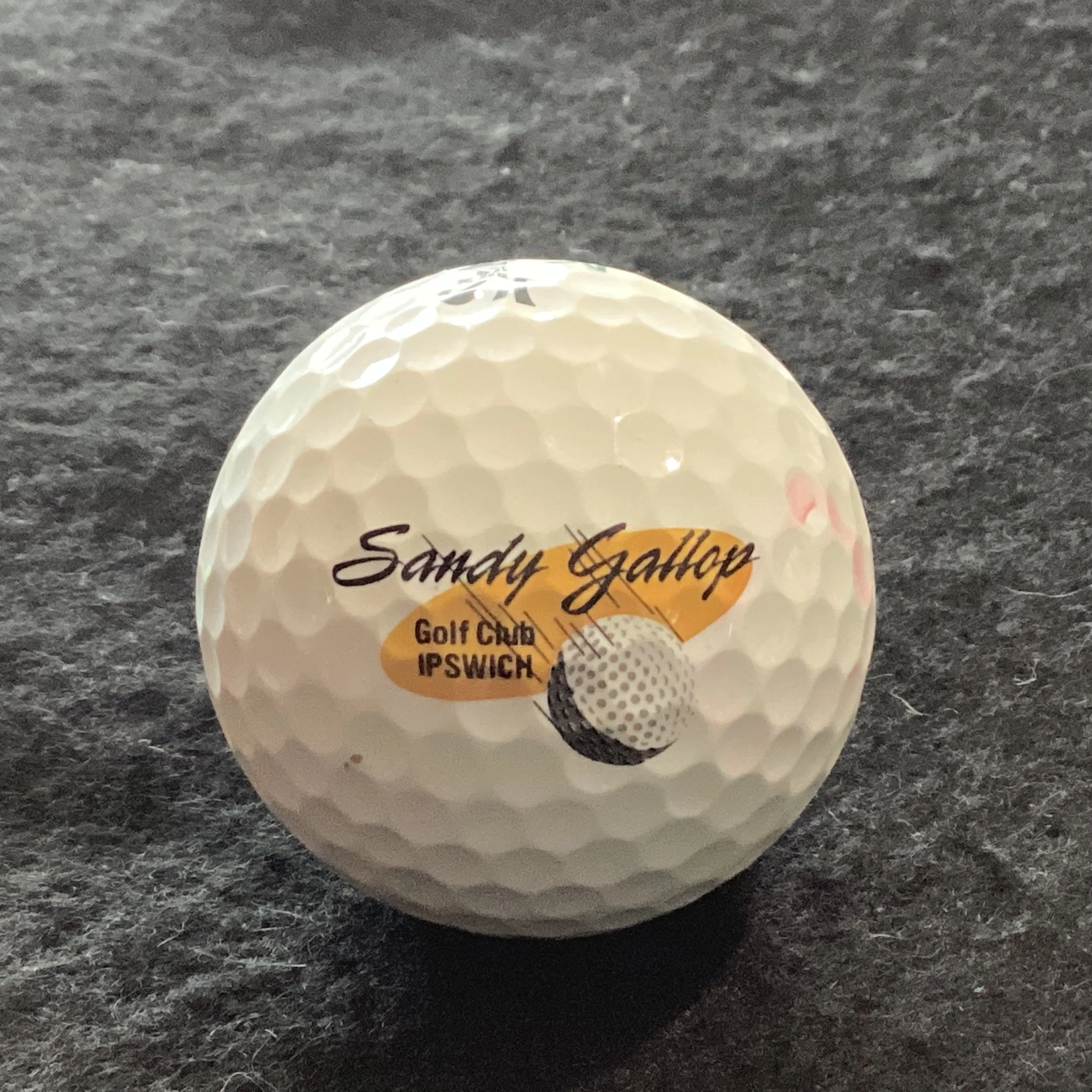 Sandy Gallop Golf Club 