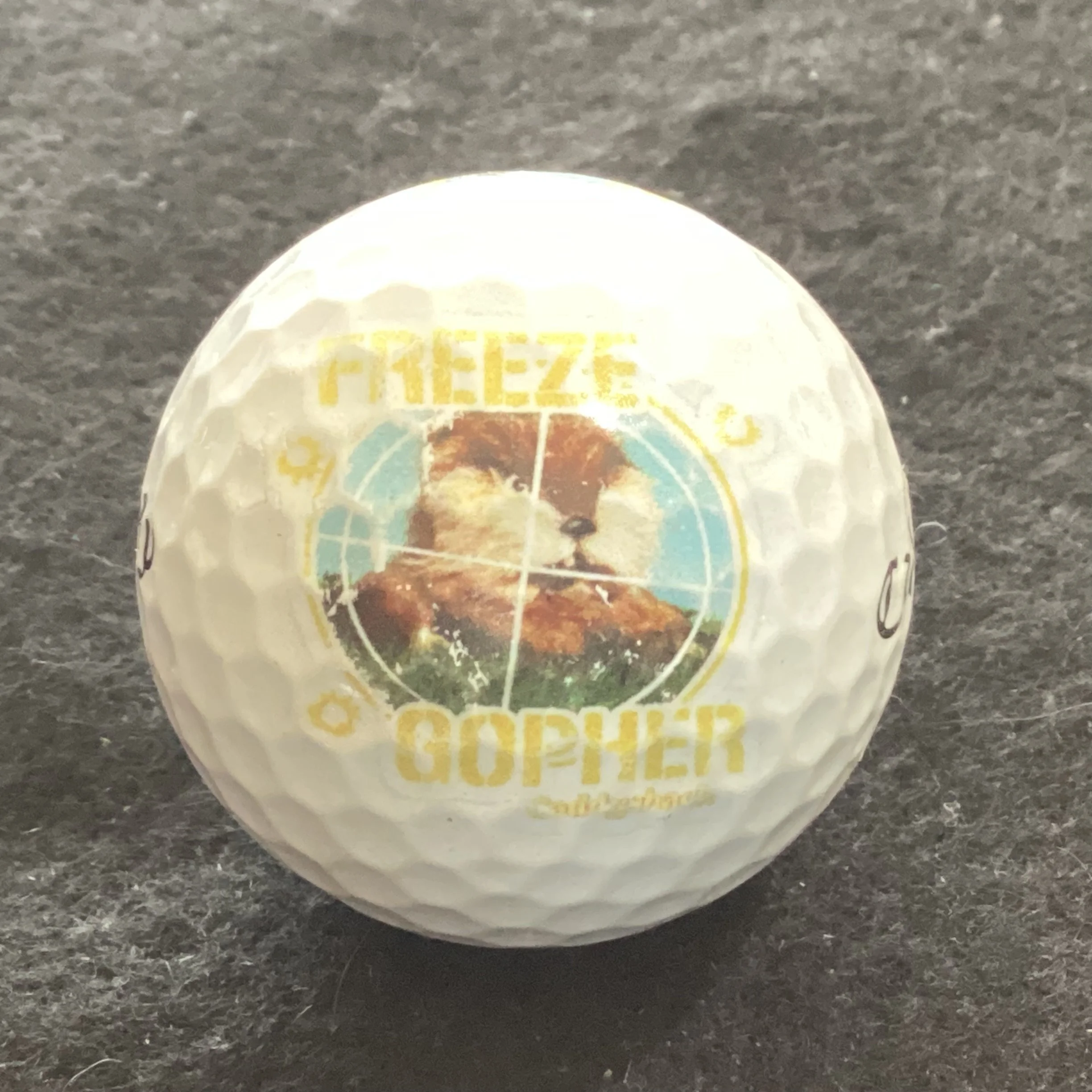 Freeze Gopher - Caddyshack Movie