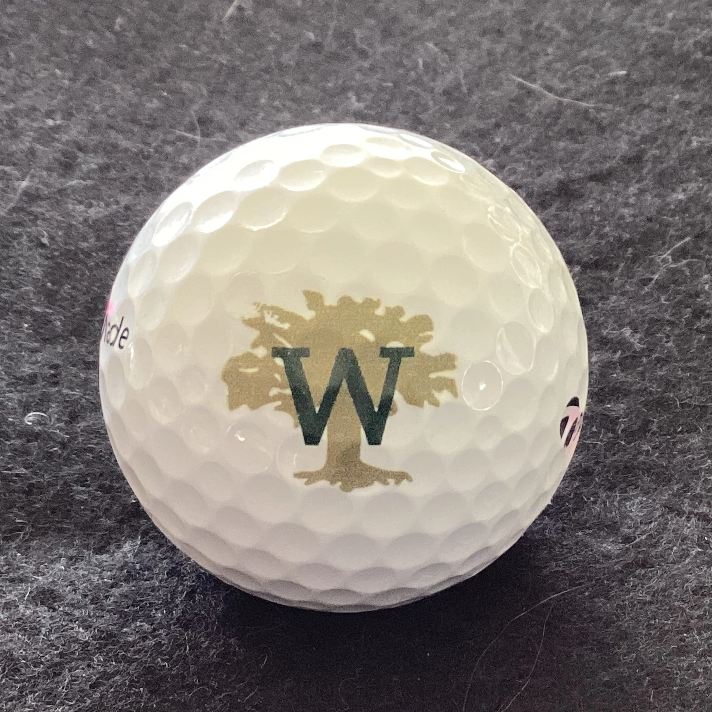 Woodlands - The Woodlands Club