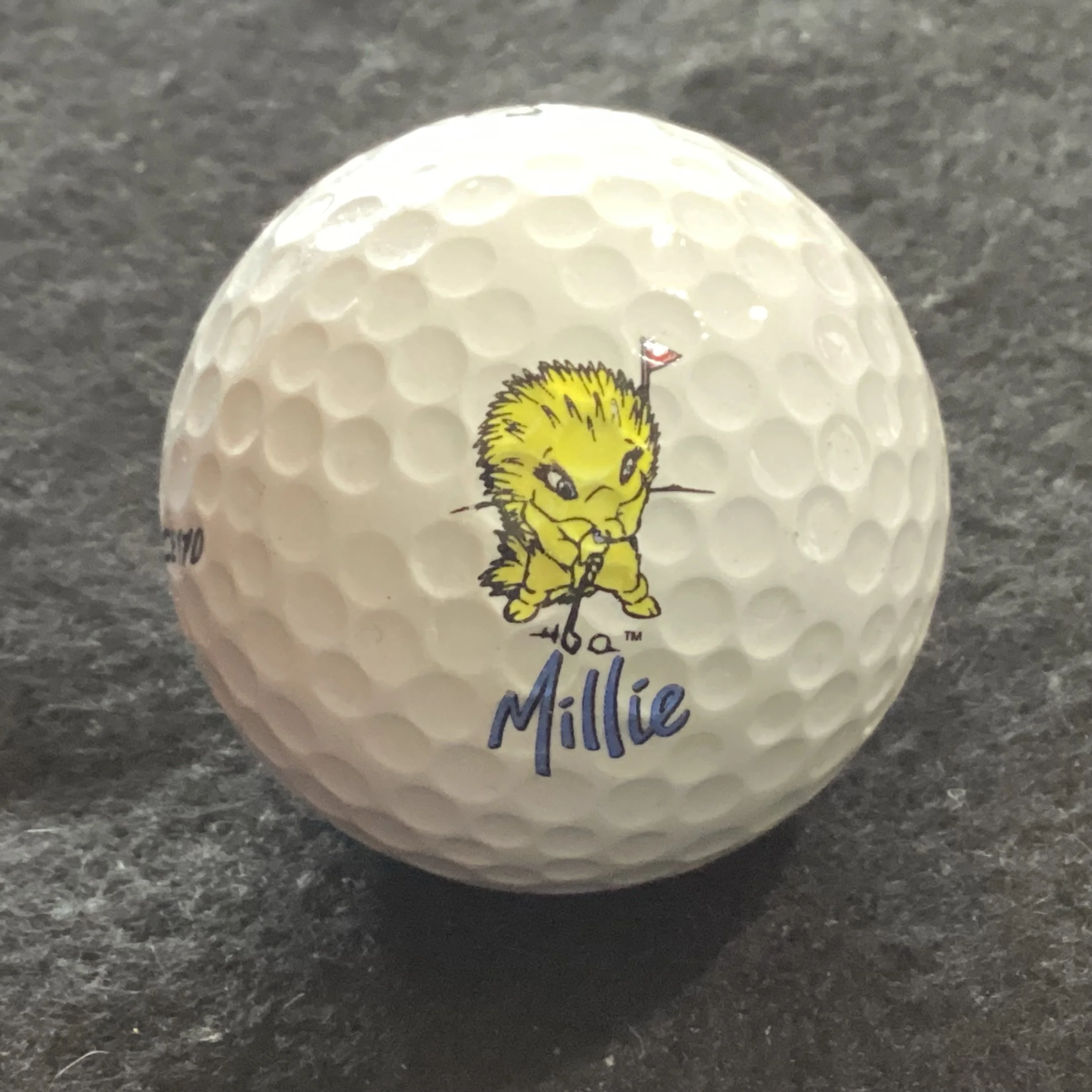 Olympics Sydney 2000 - Mascot Millie