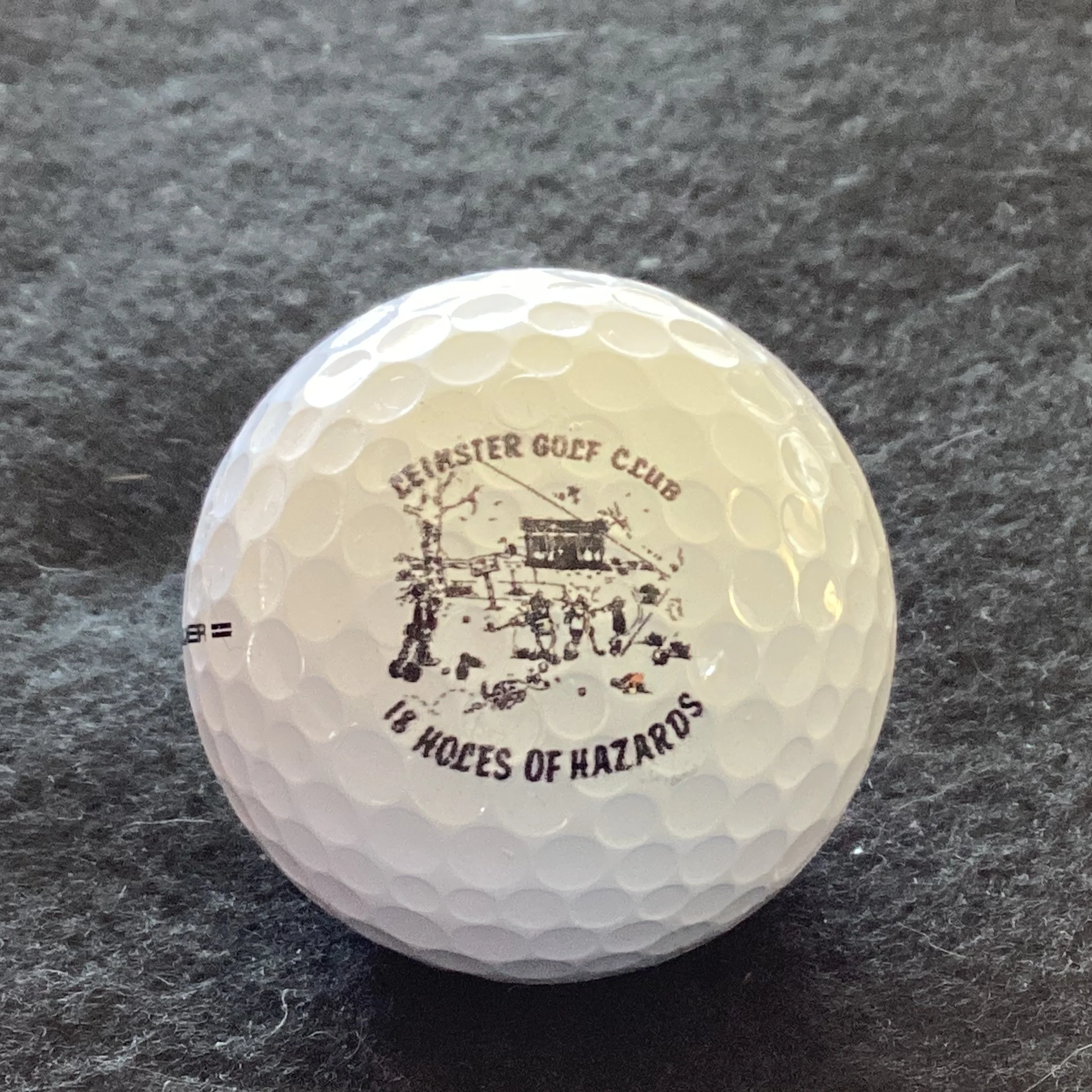 Leinster Golf Club 