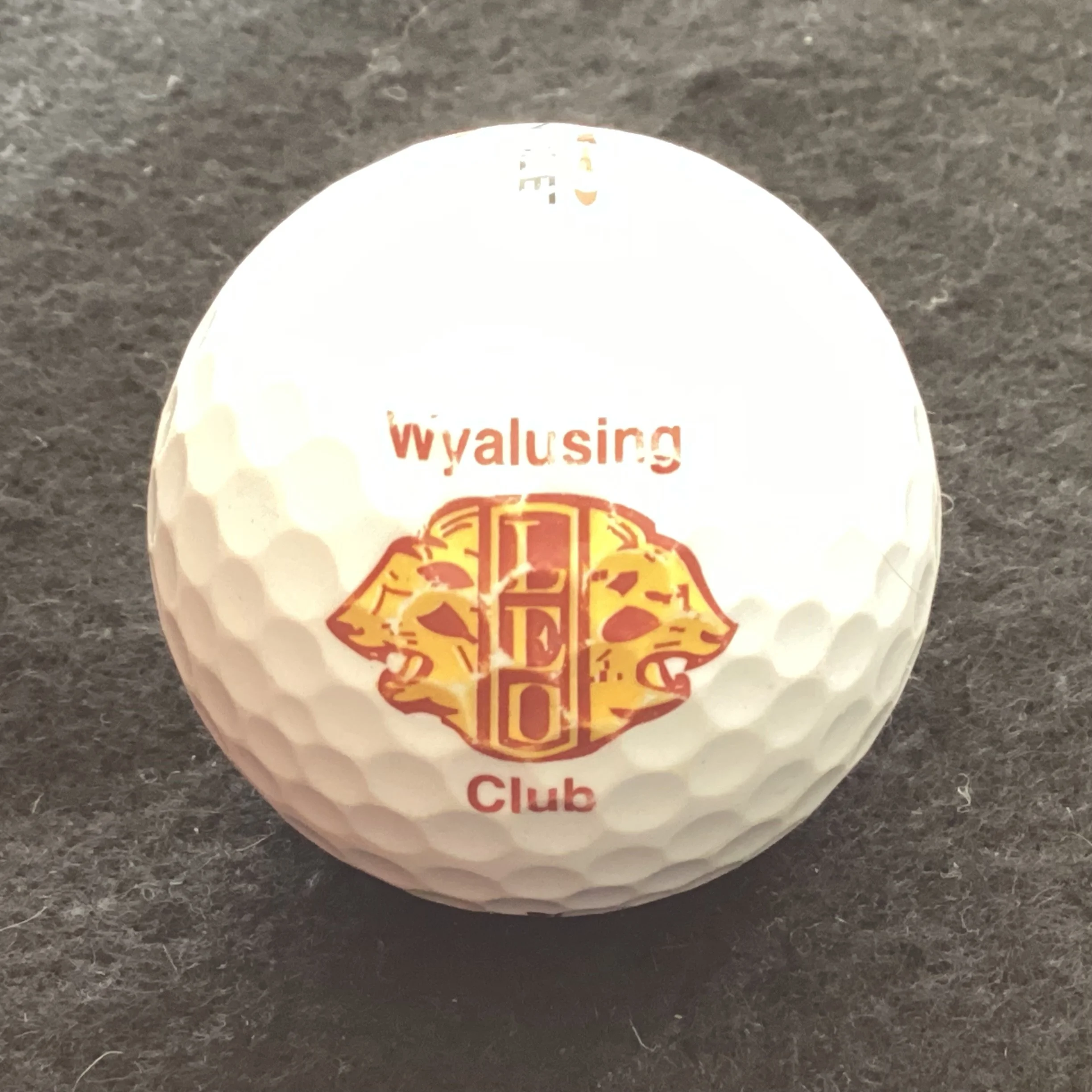 Wyalusing Club - Young Lions Club