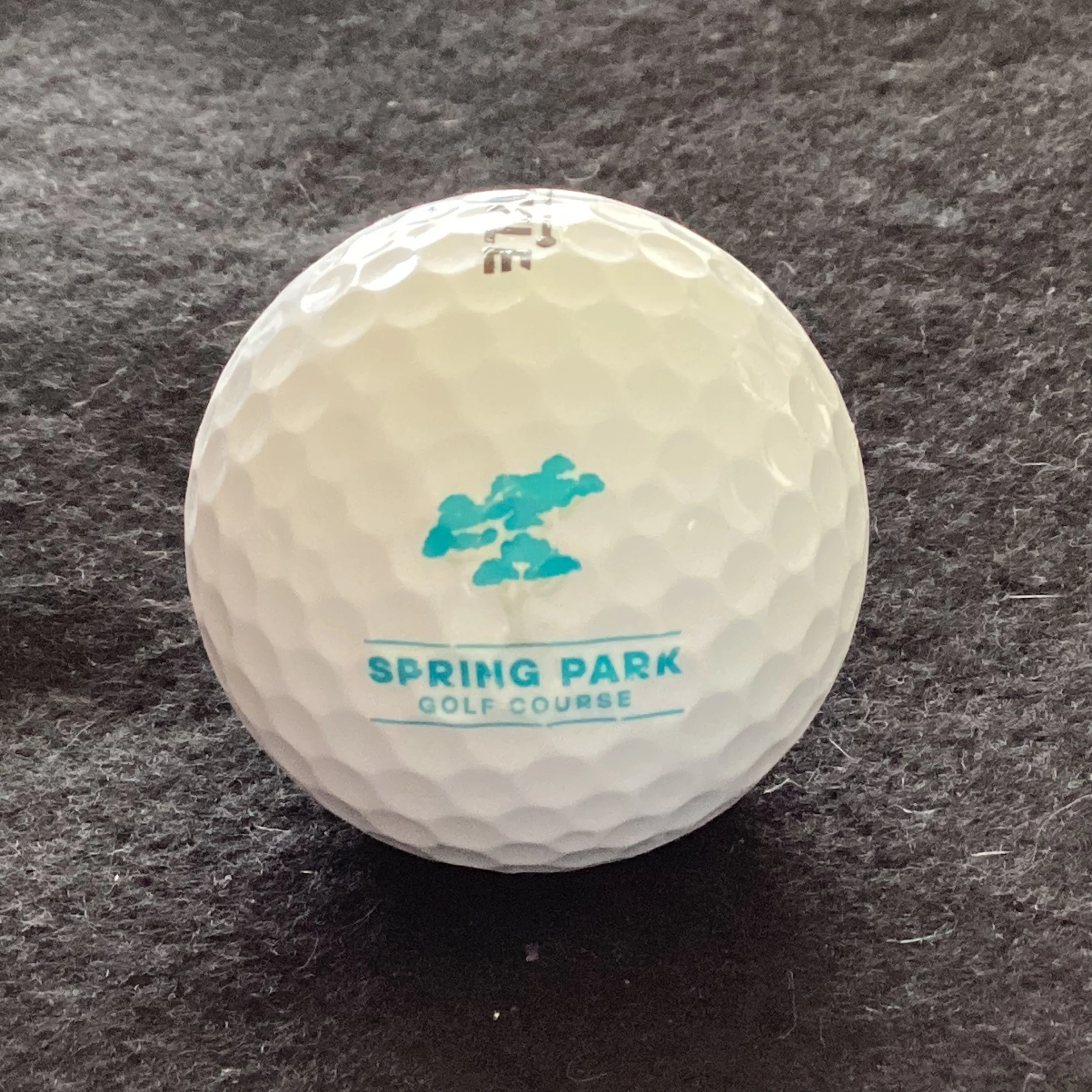 Spring Park Golf Course 