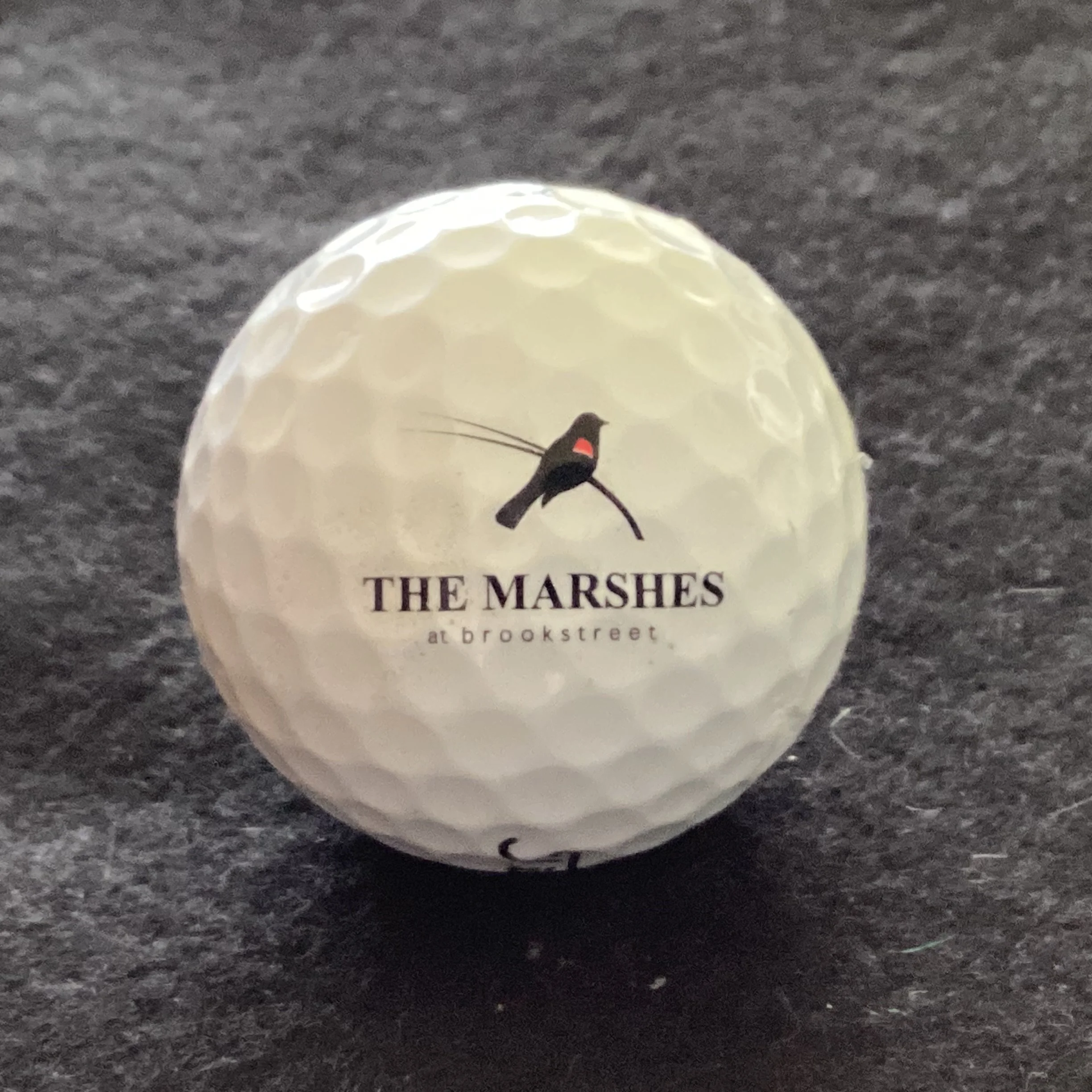 Marshes - The Marshes at Brookstreet