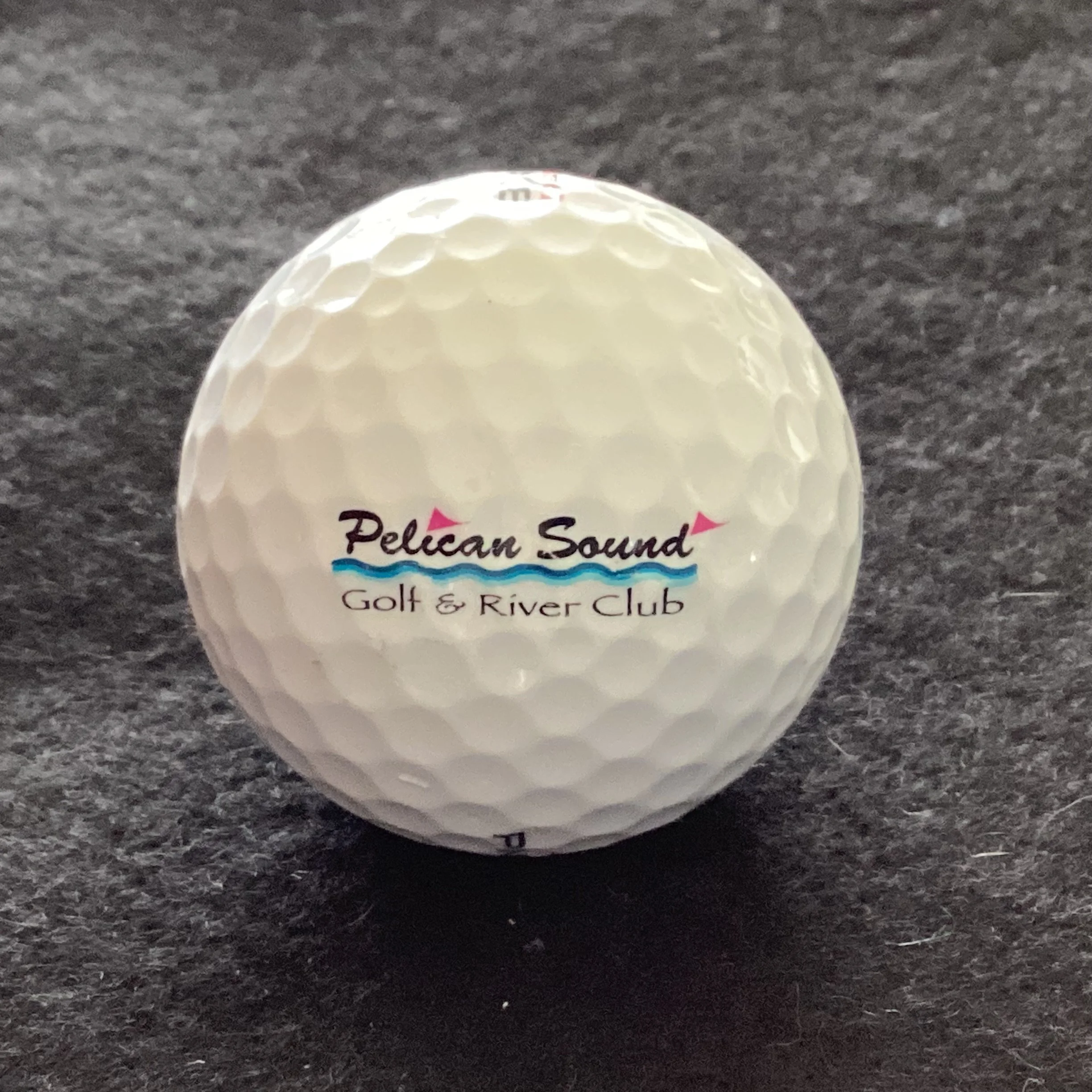 Pelican Sound Golf and River Club 
