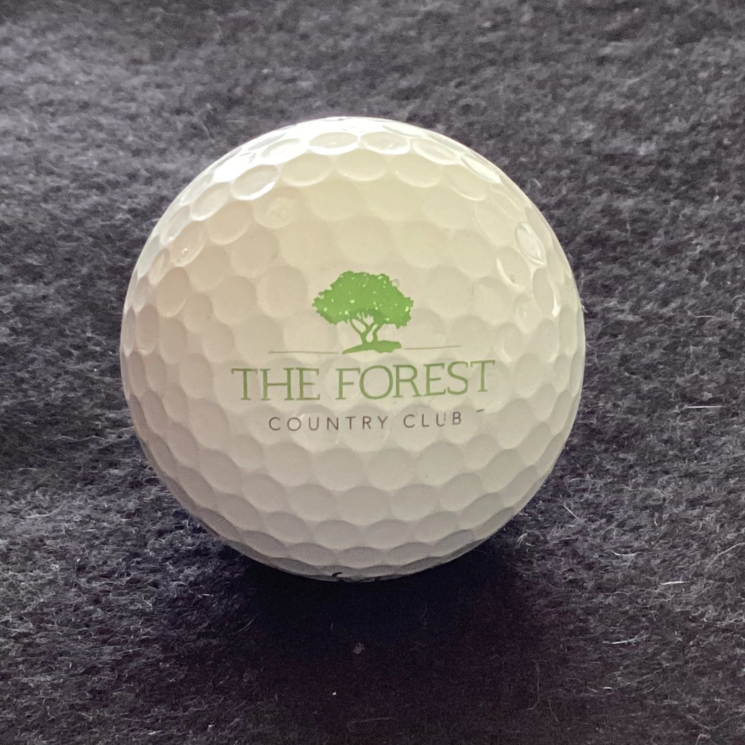 Forest - The Forest Country Club 