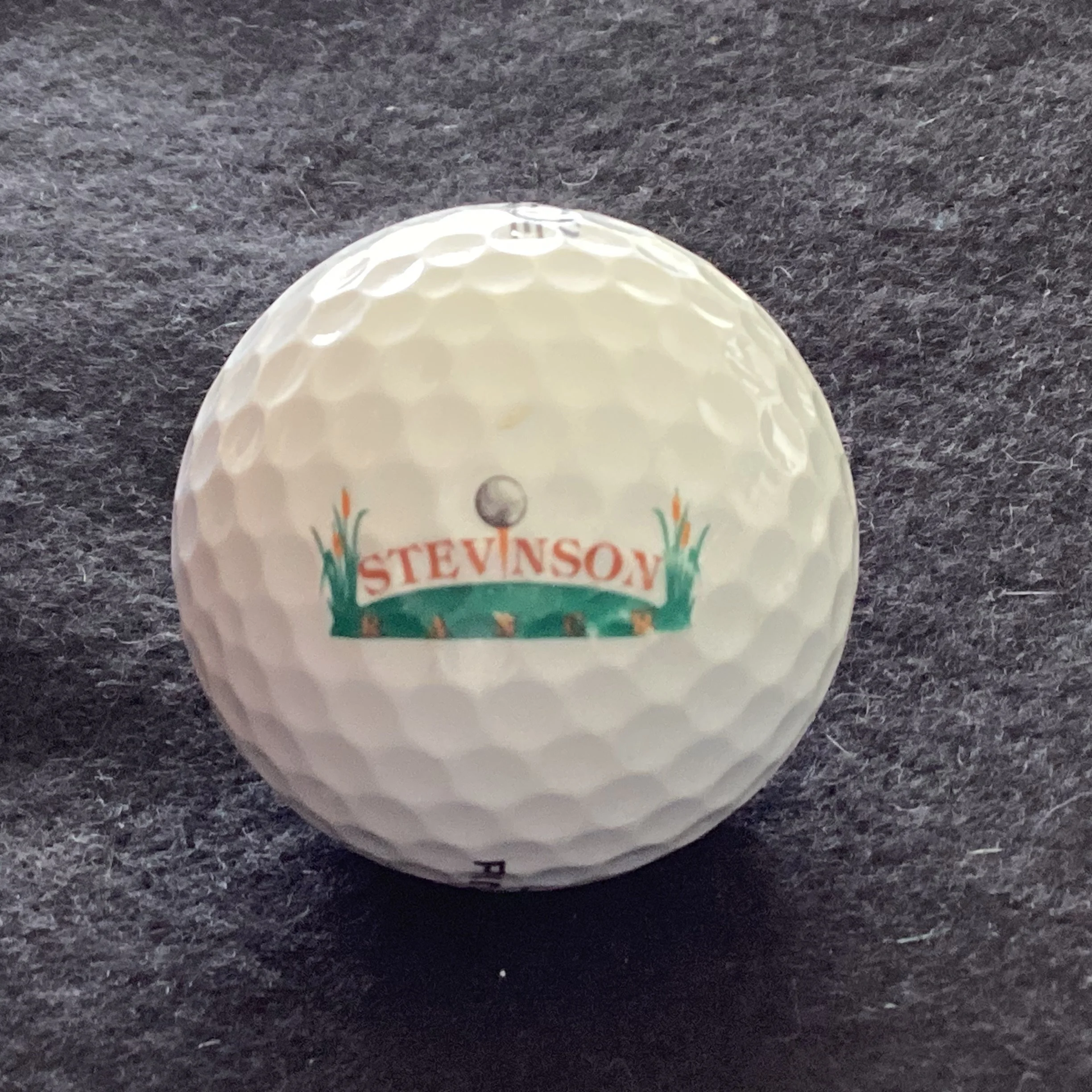 Stevinson Ranch Golf Course 