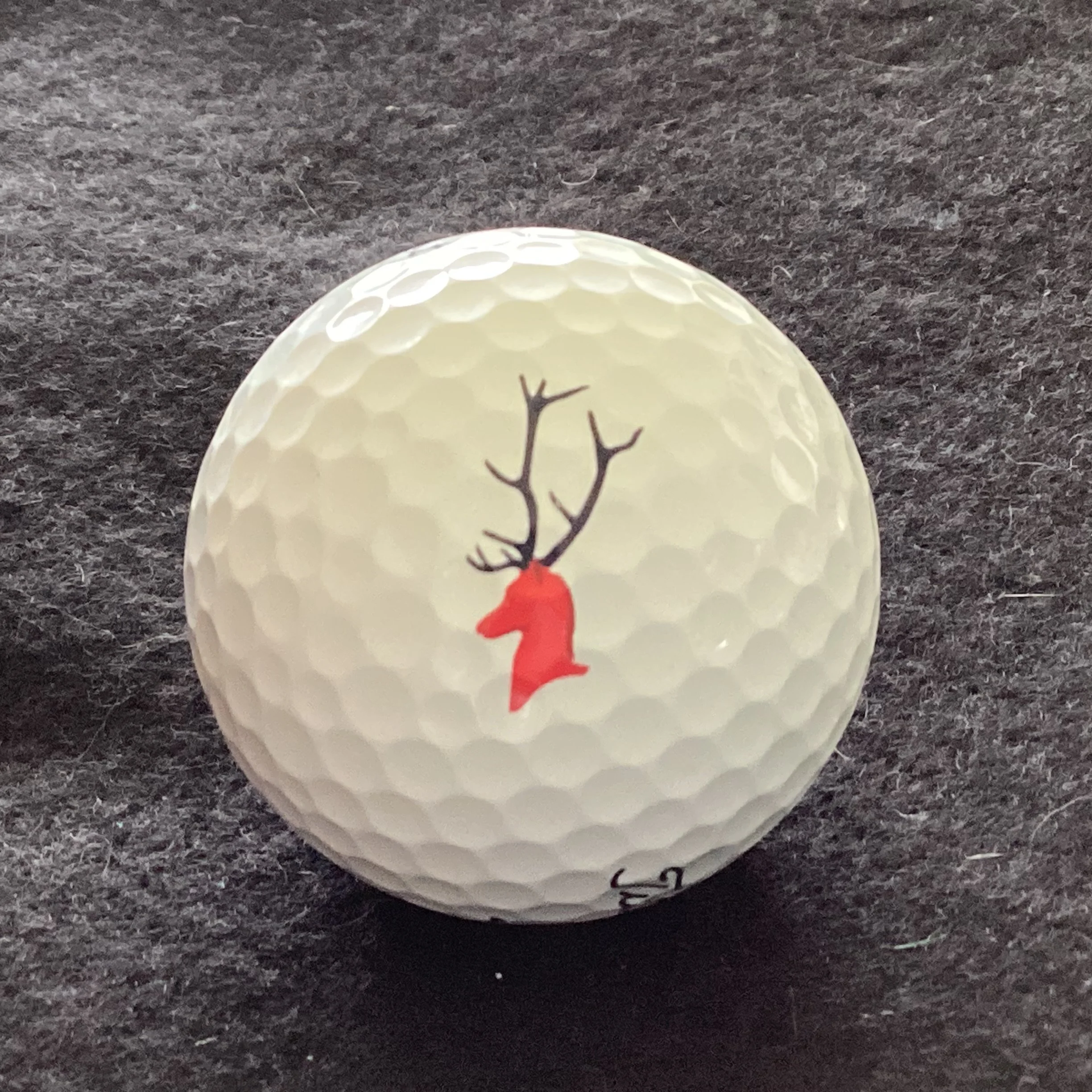 Loch Lomond Golf Club 