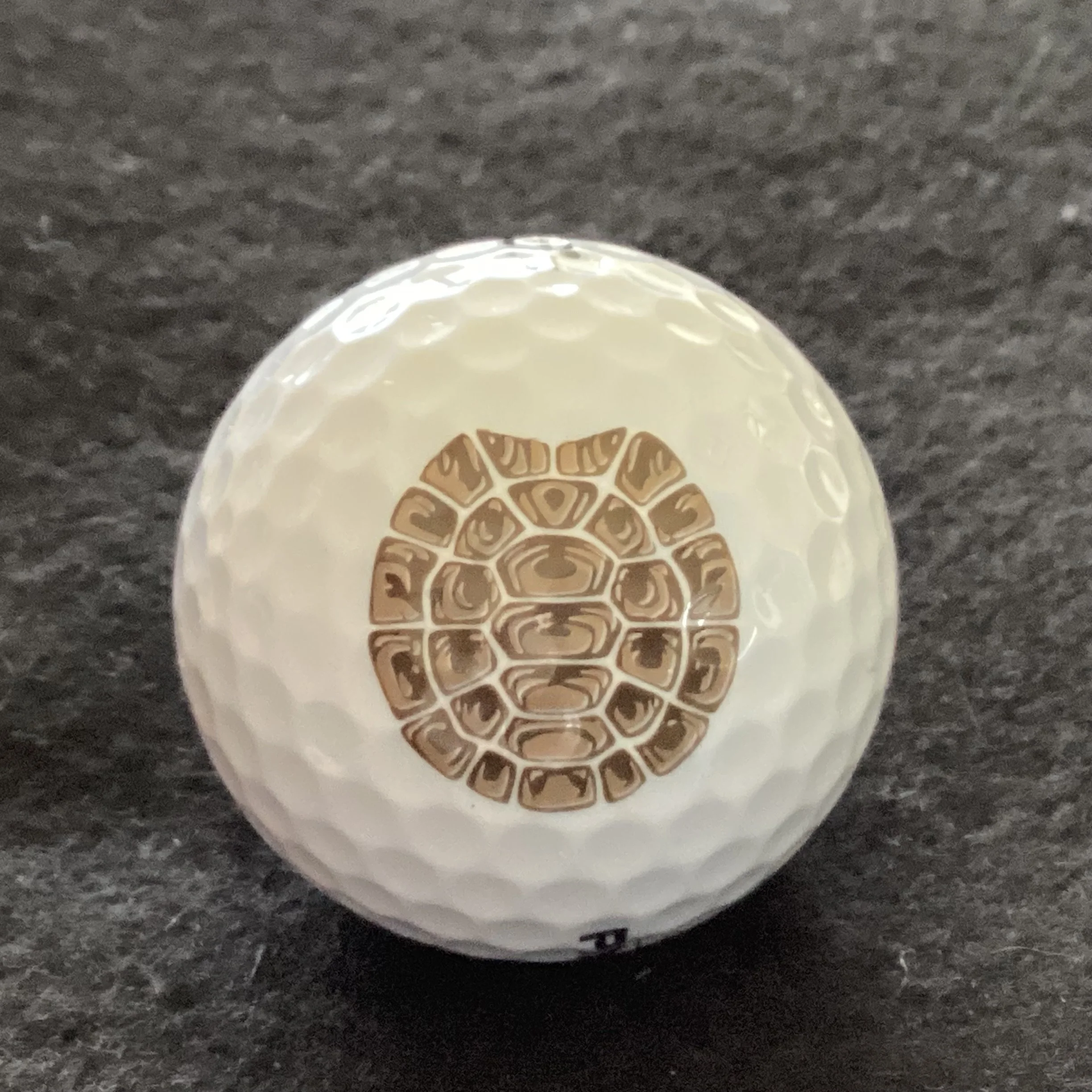 Vidauban Golf Club 