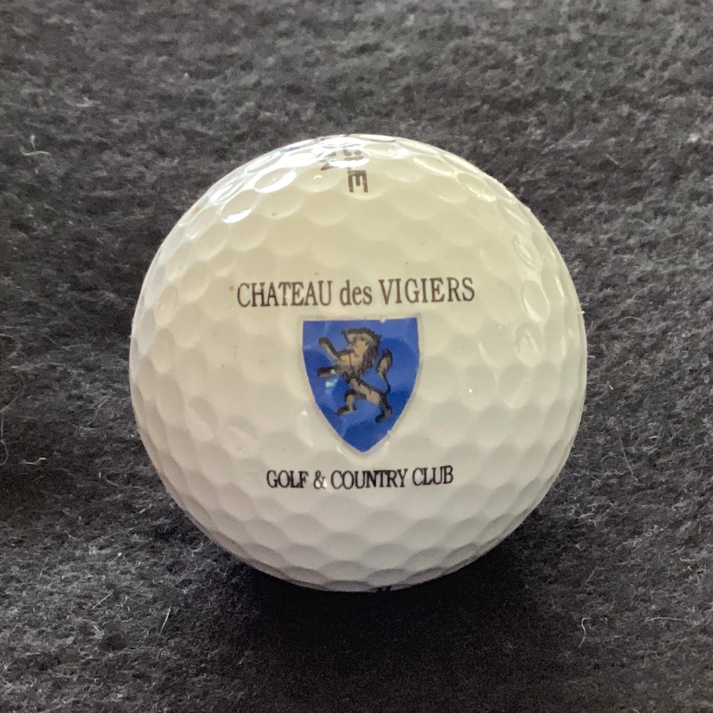 Chateau des Vigiers Golf and Country Club 