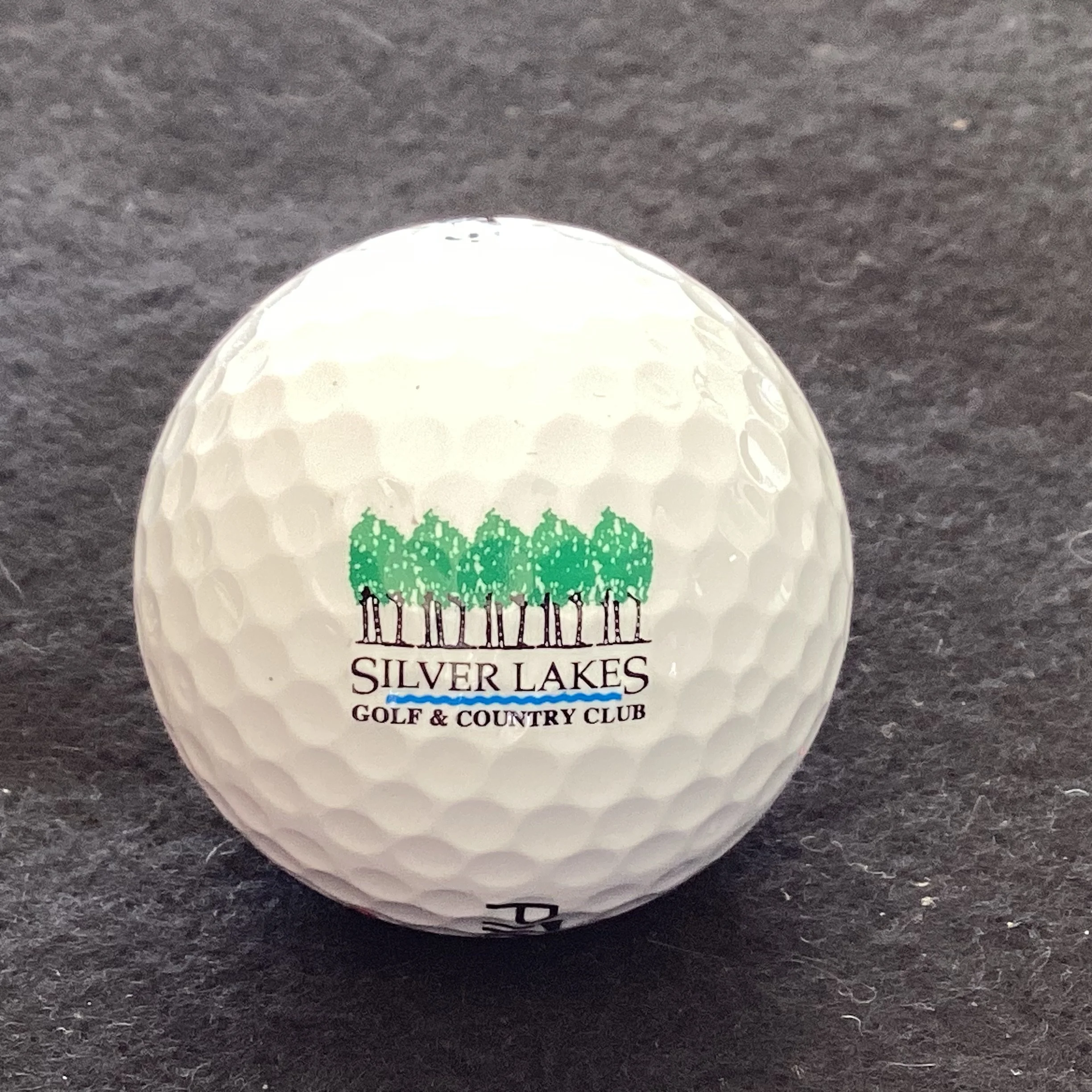 Silver Lakes Golf and Country Club 