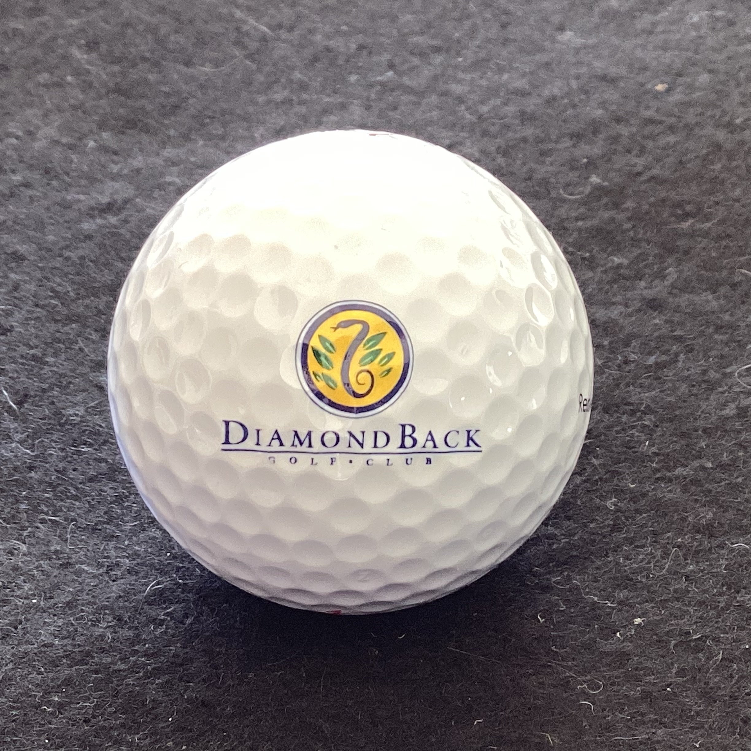 Diamond Back Golf Club 