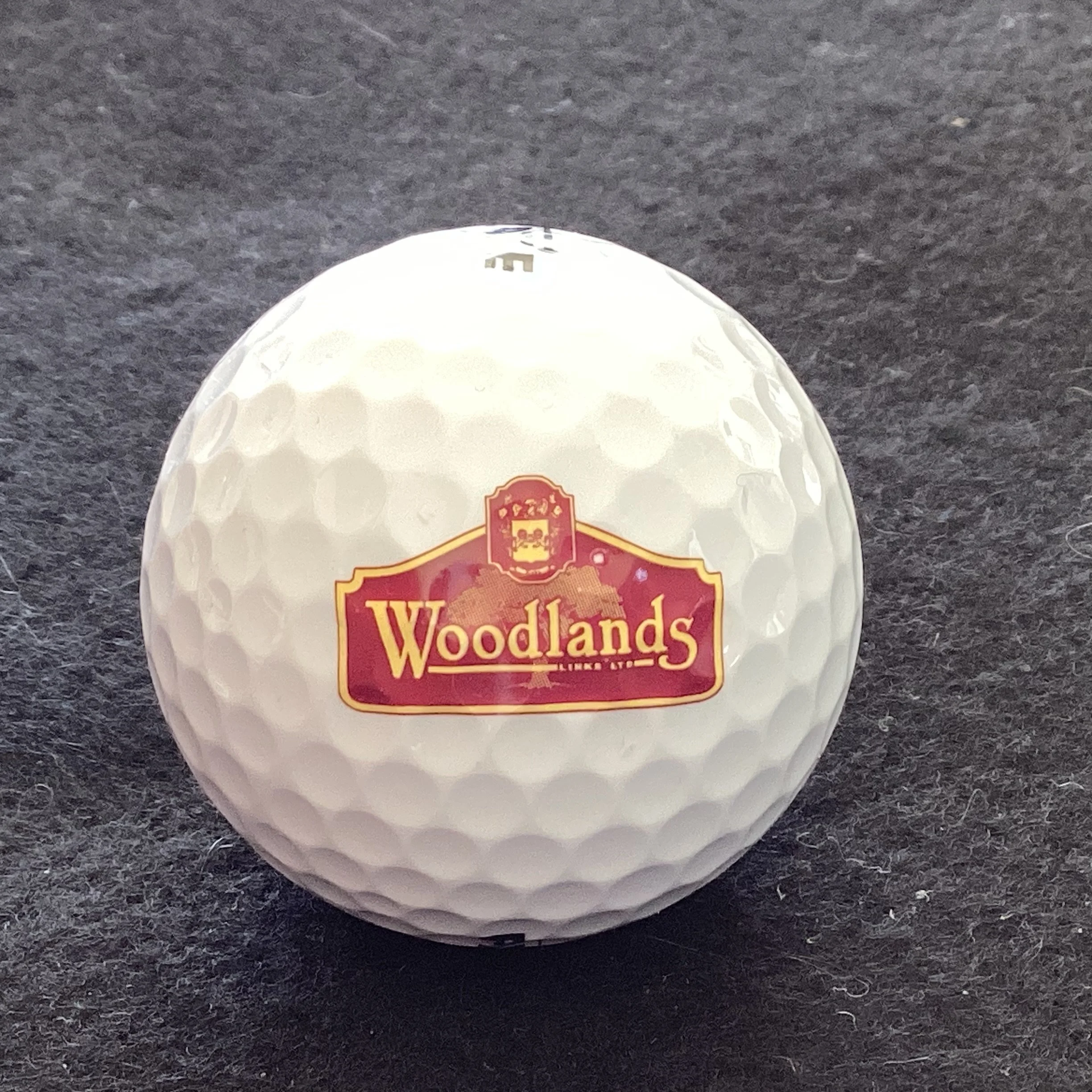 Woodlands Links Golf Club 