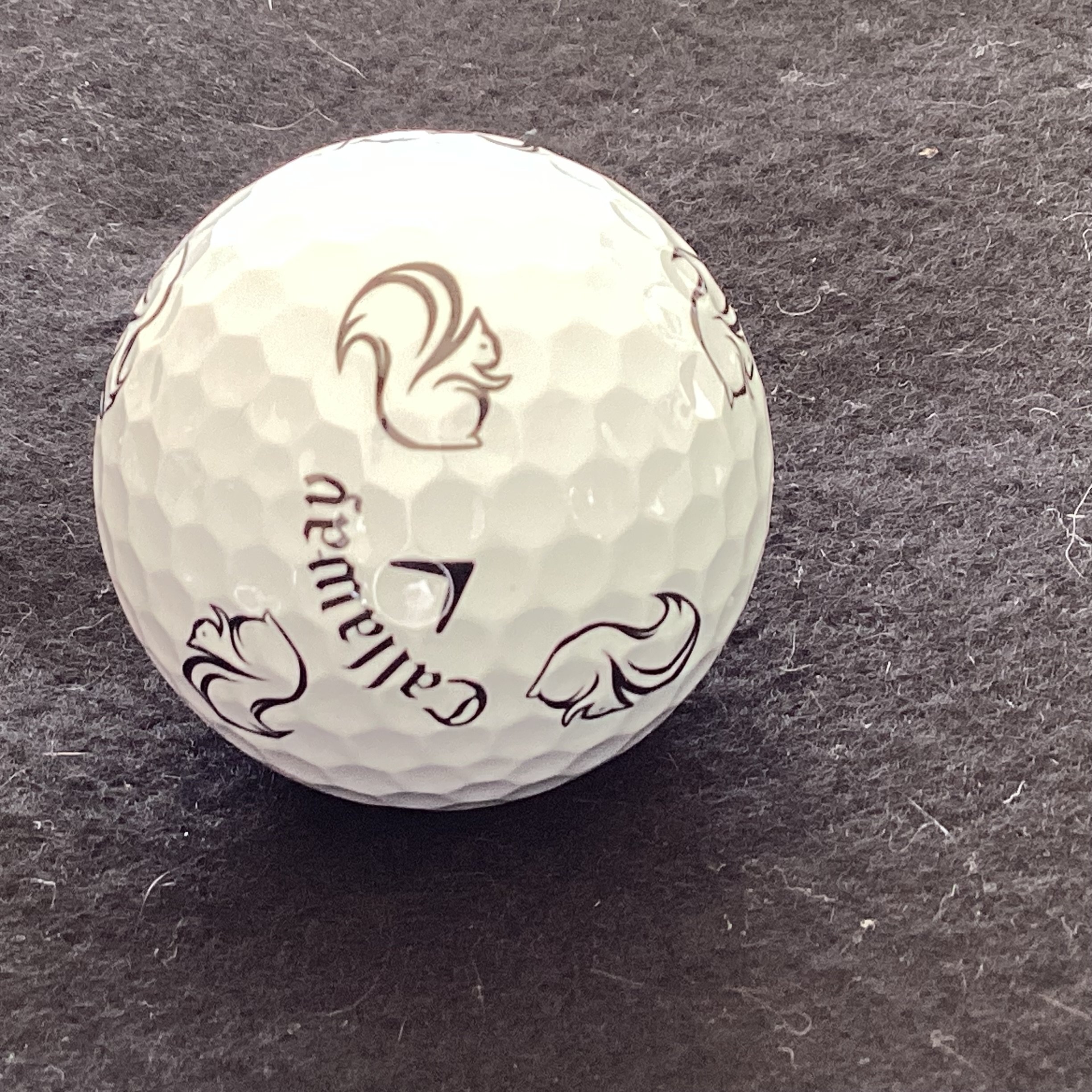 White Squirrel Golf Club 
