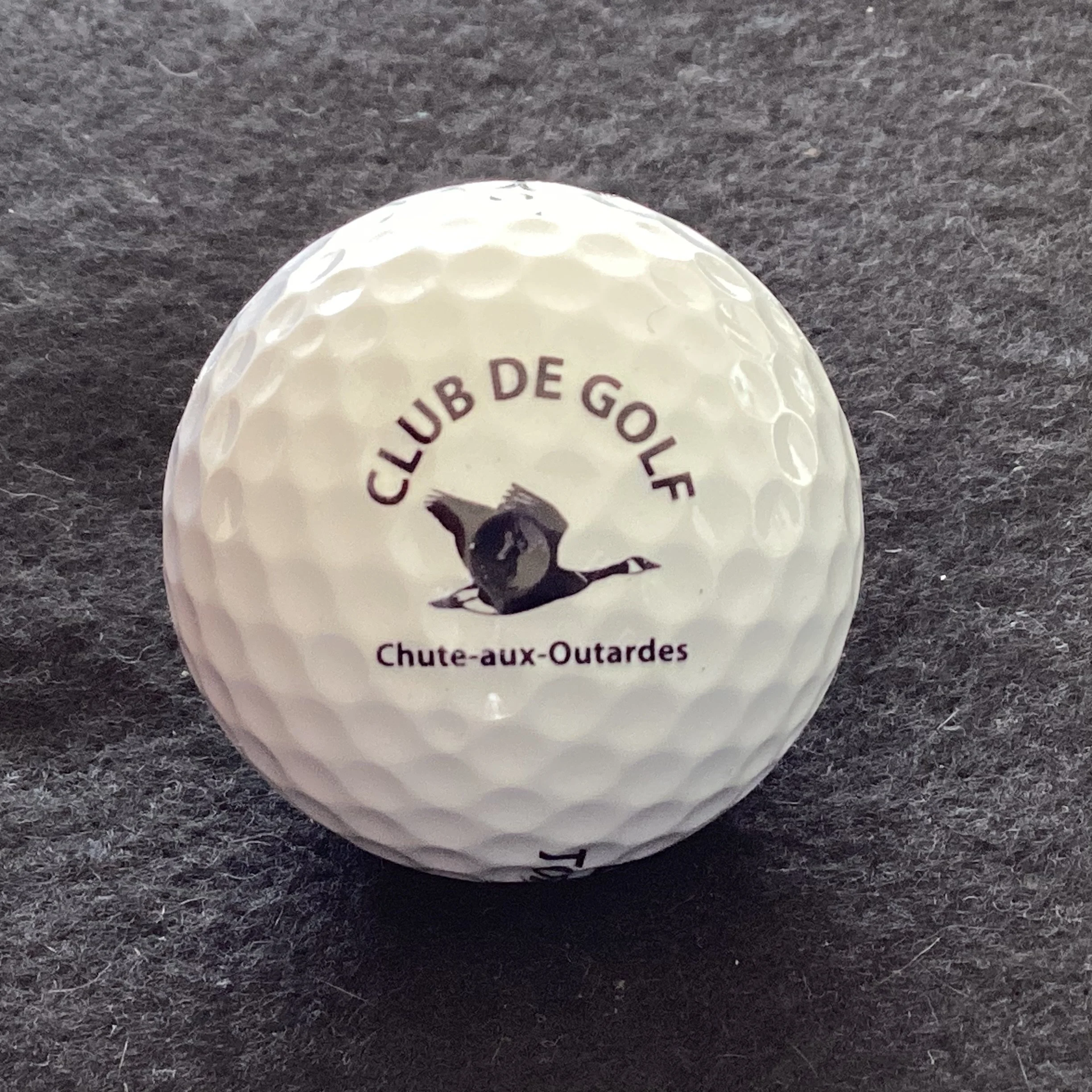 Chute Aux Outardes Club de Golf