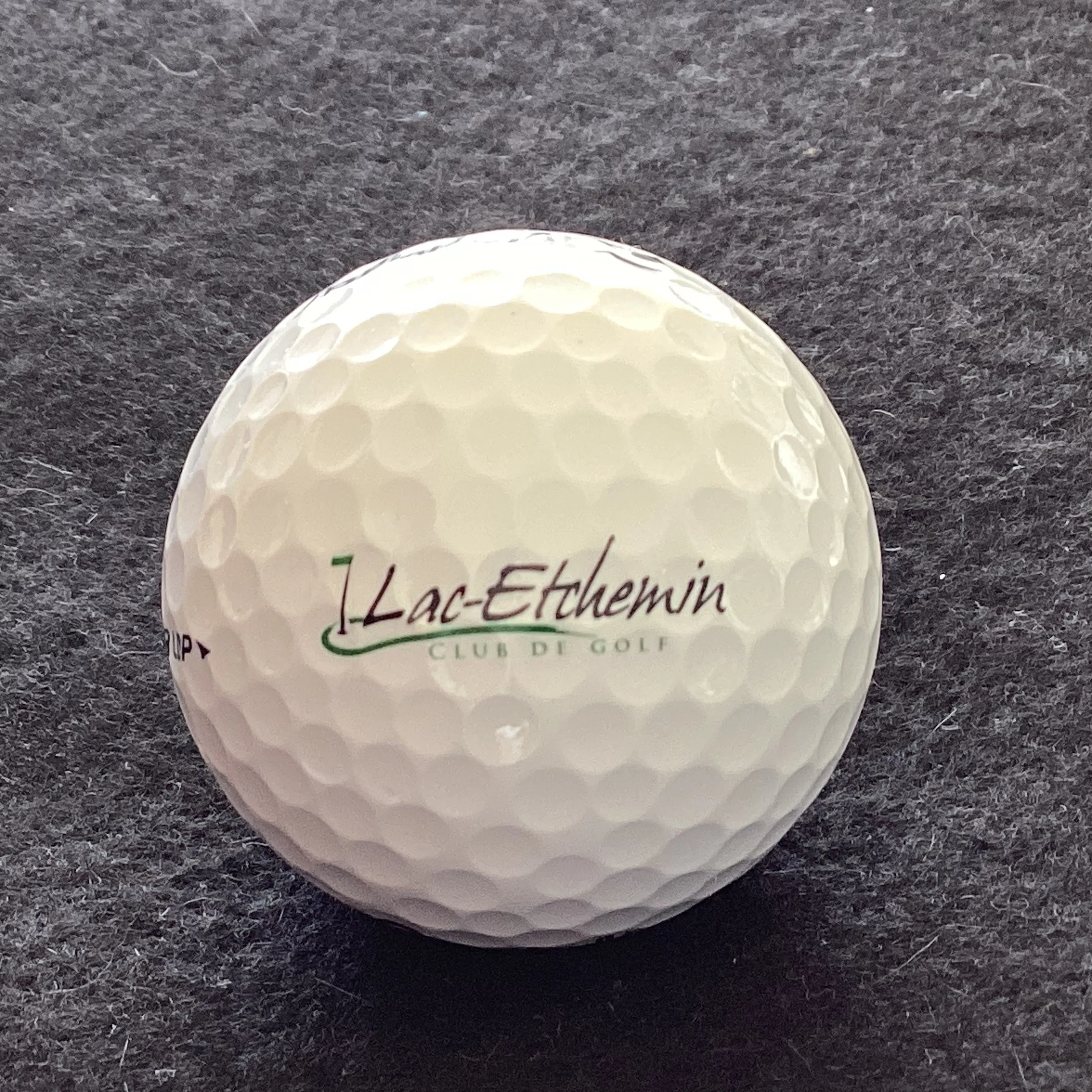 Lac Etchemin Club de Golf 