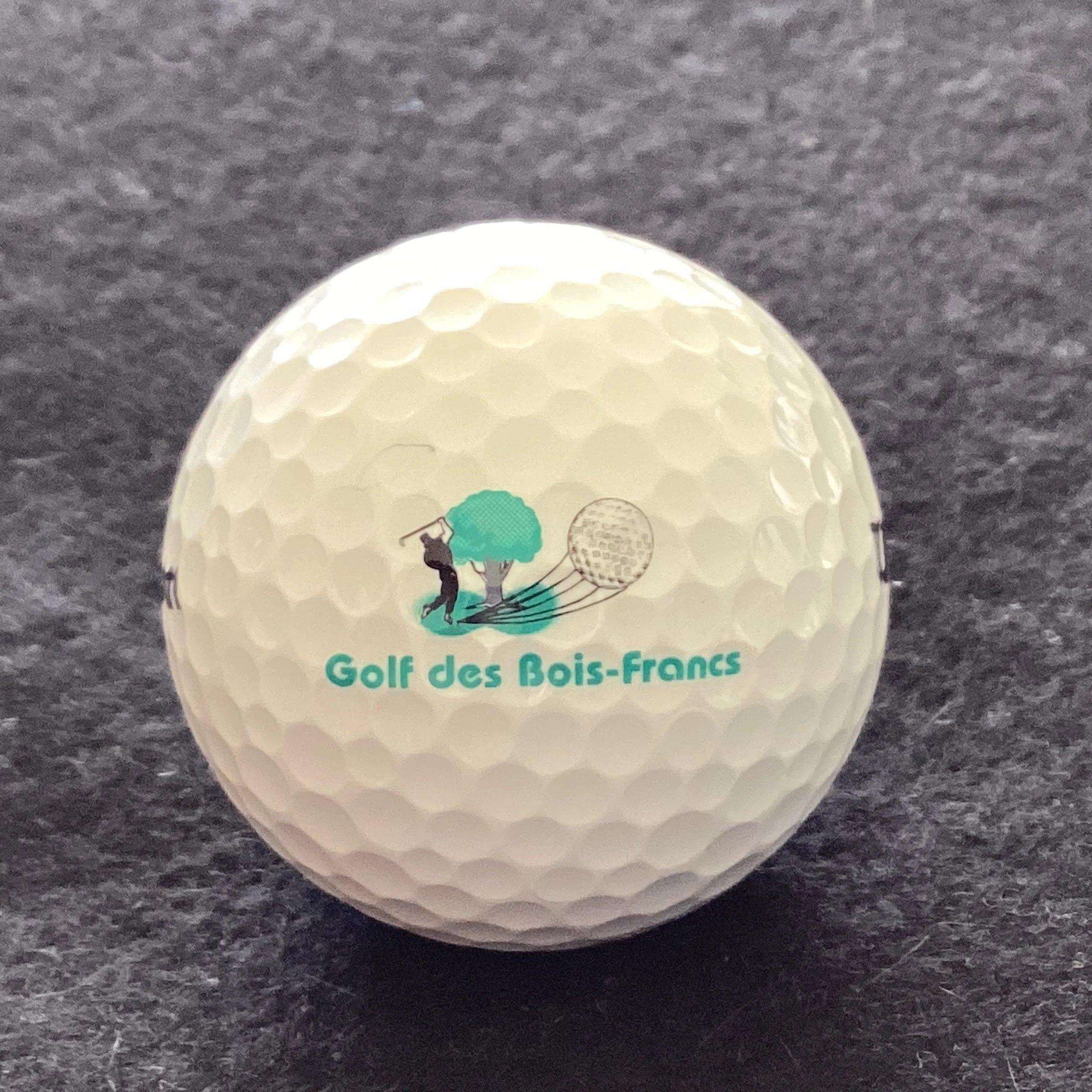 Bois Francs- Golf des Bois Francs