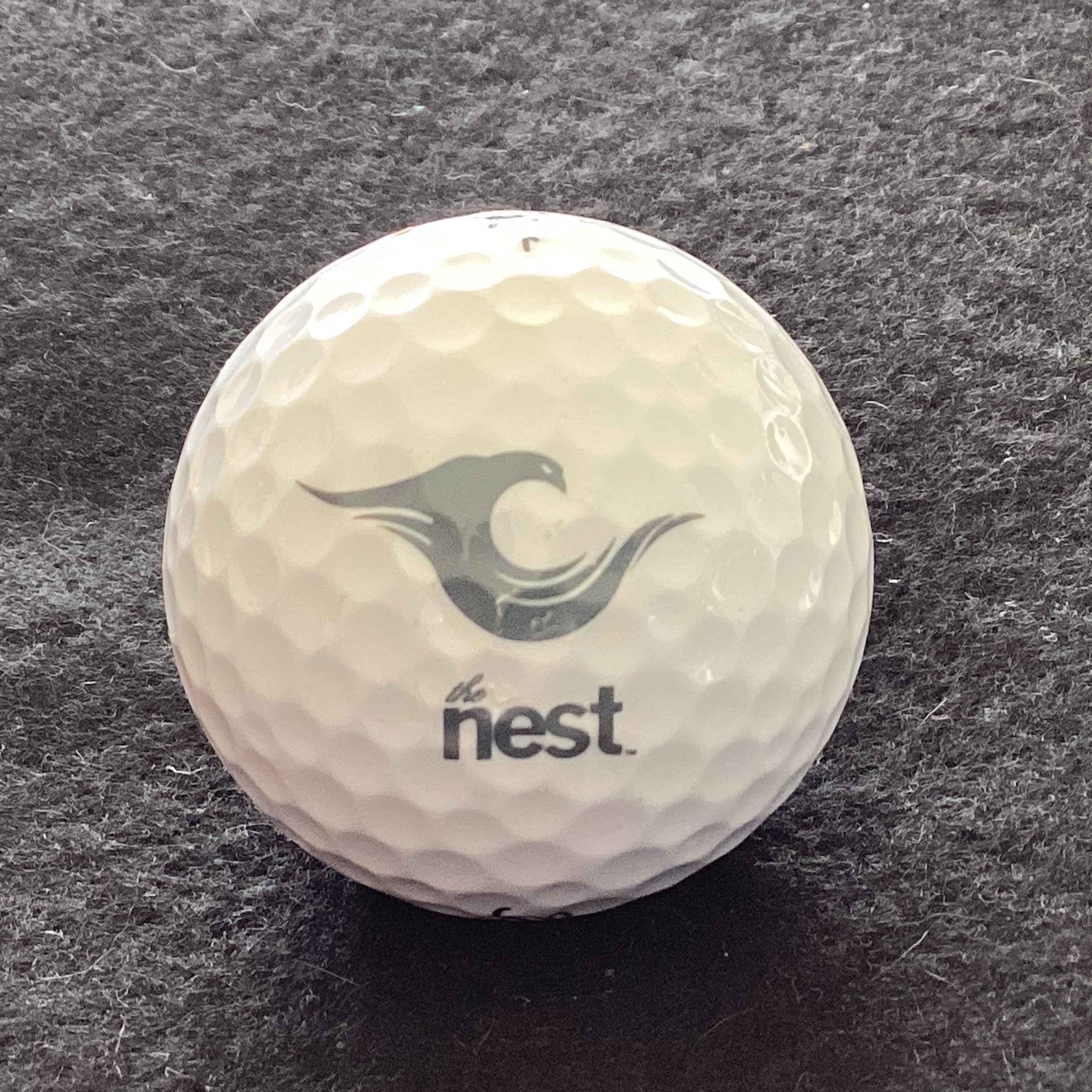 Nest - The Nest Golf Course 