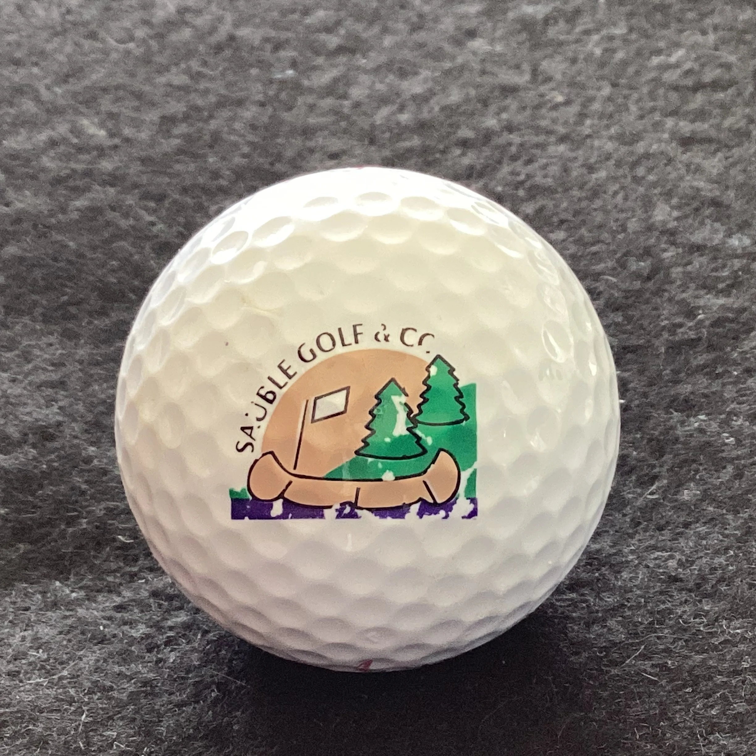 Sauble Golf and Country Club 