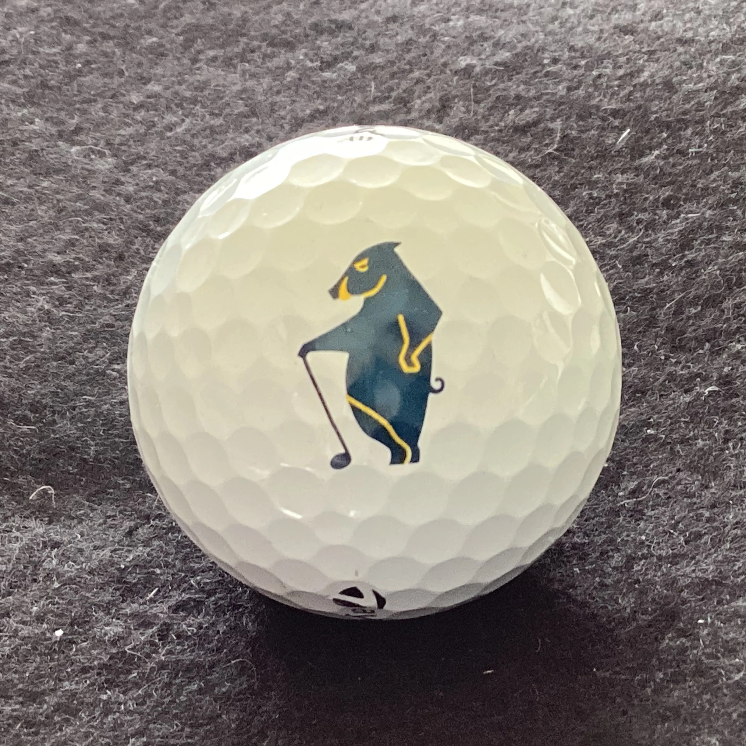 Hogs Head Golf Club 